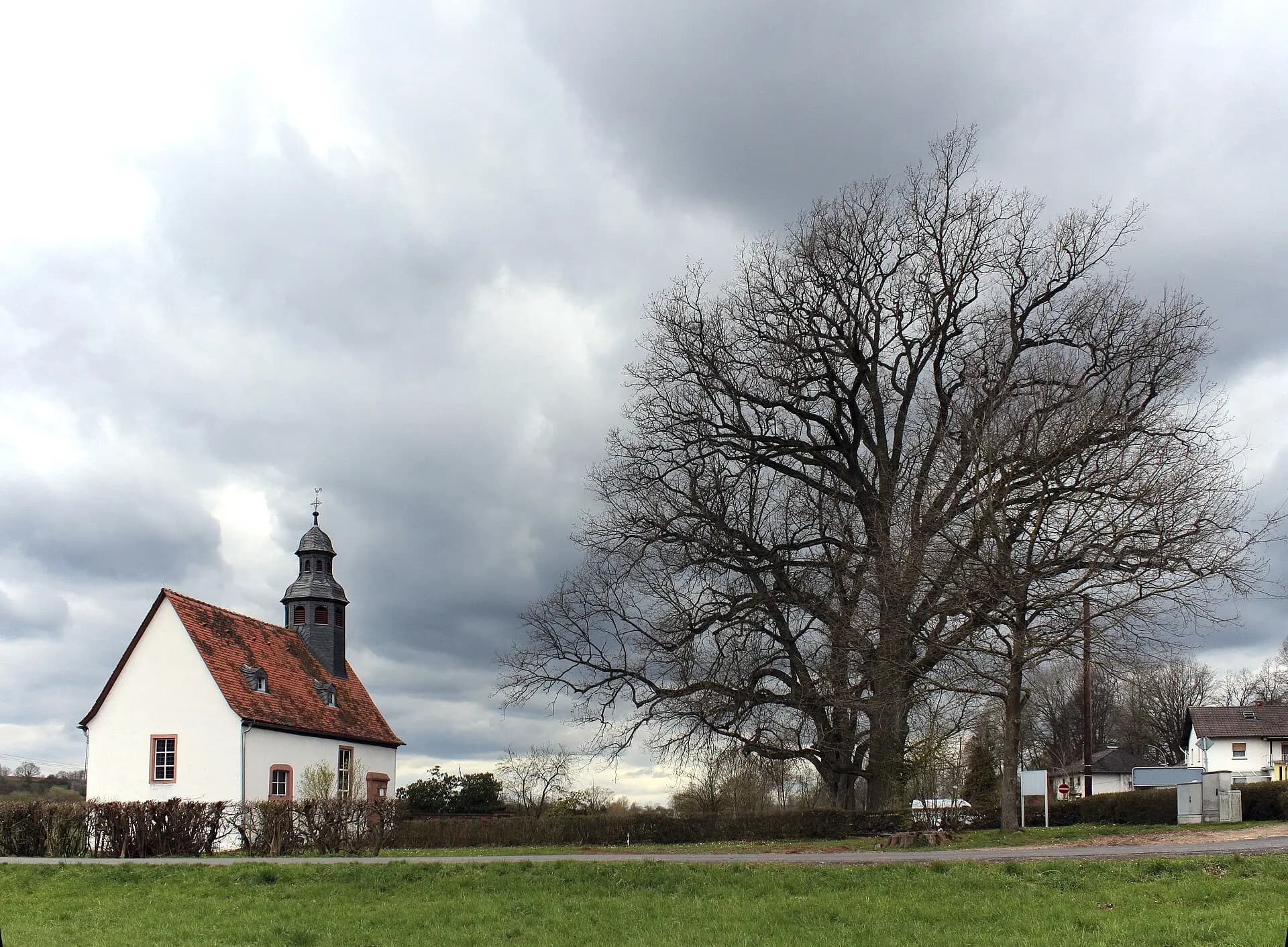 Laurentiuskapelle mit Naturdenkmal-Bäumen in Gründau-Hain-Gründau