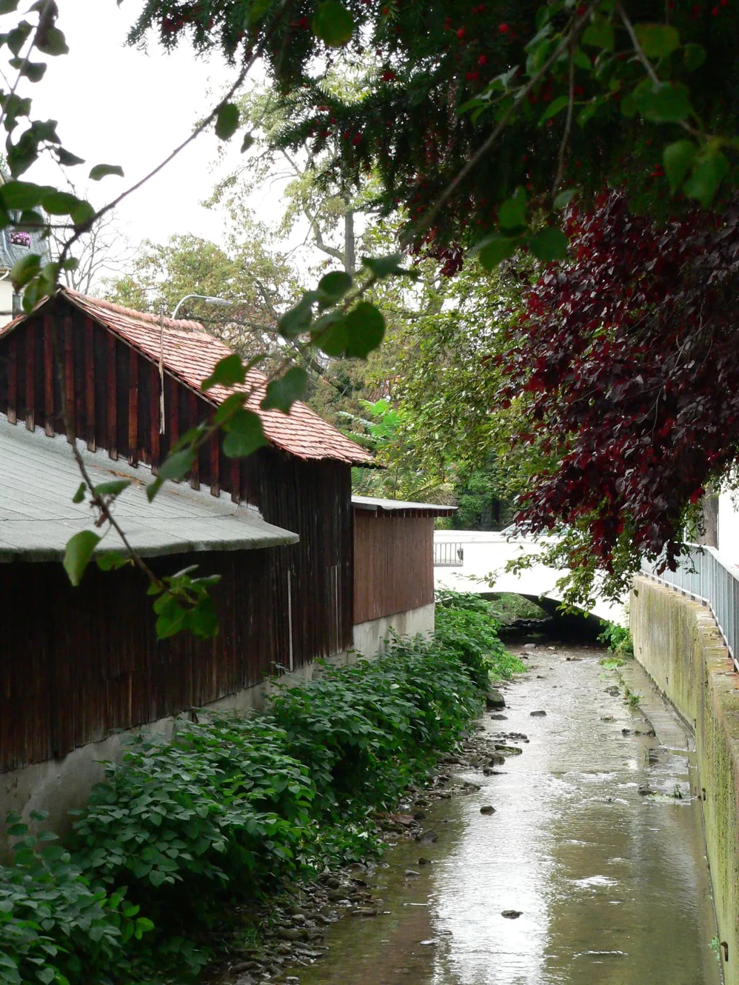 Der Liederbach in Frankfurt-Unterliederbach