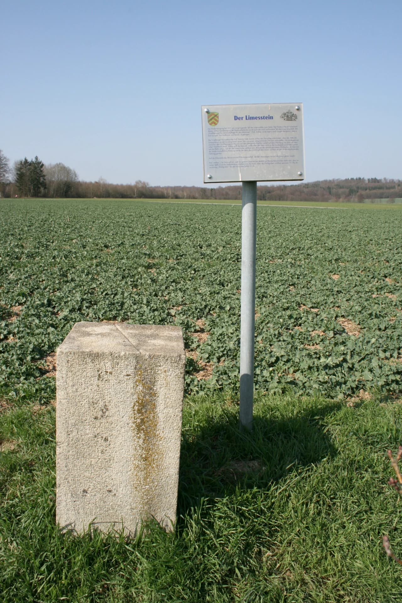 Limesstein bei Langen-Bergheim in Hammersbach