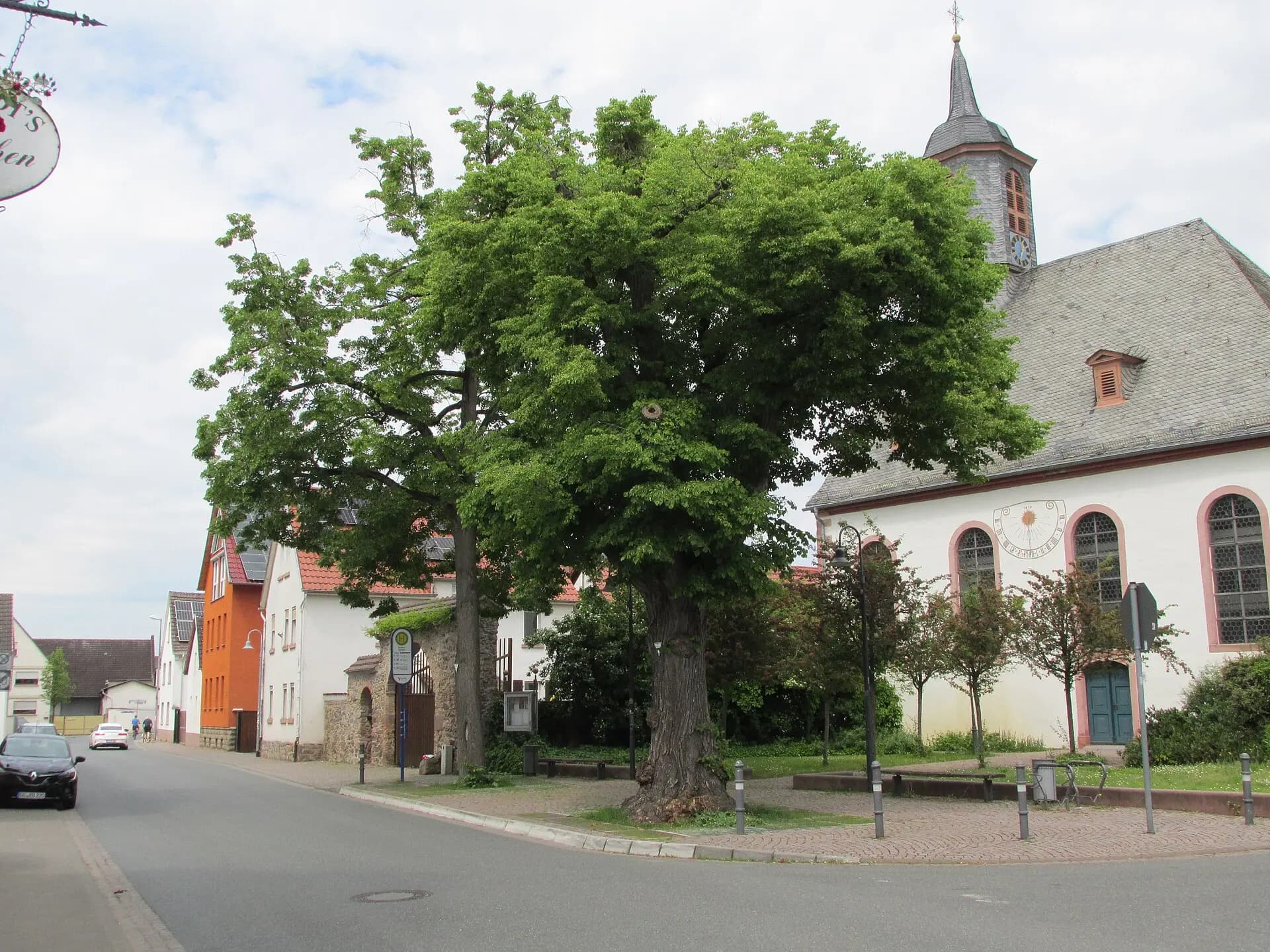 Linden an der Kirche in Büttelborn