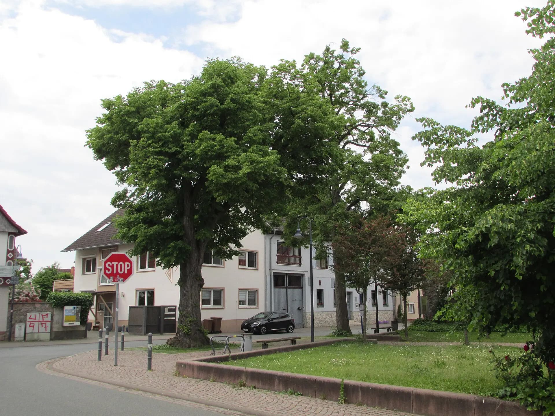 Linden in der Ortsmitte von Büttelborn