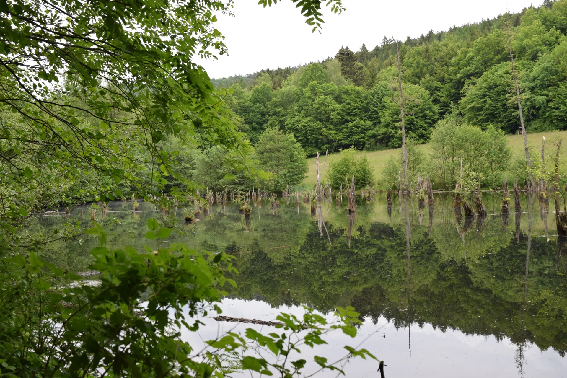 Teich am Lochborn bei Biebergemünd-Bieber