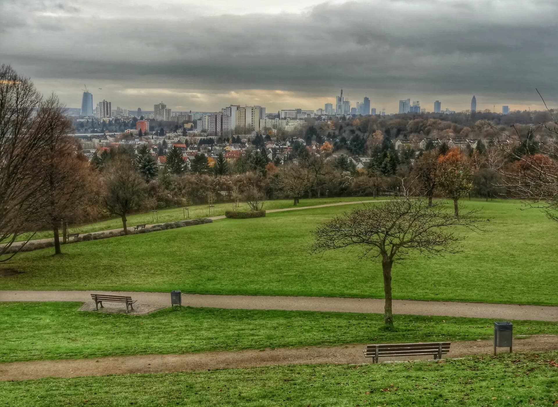 Hangwiese am Lohrberg mit Blick auf Frankfurt in Frankfurt Seckbach