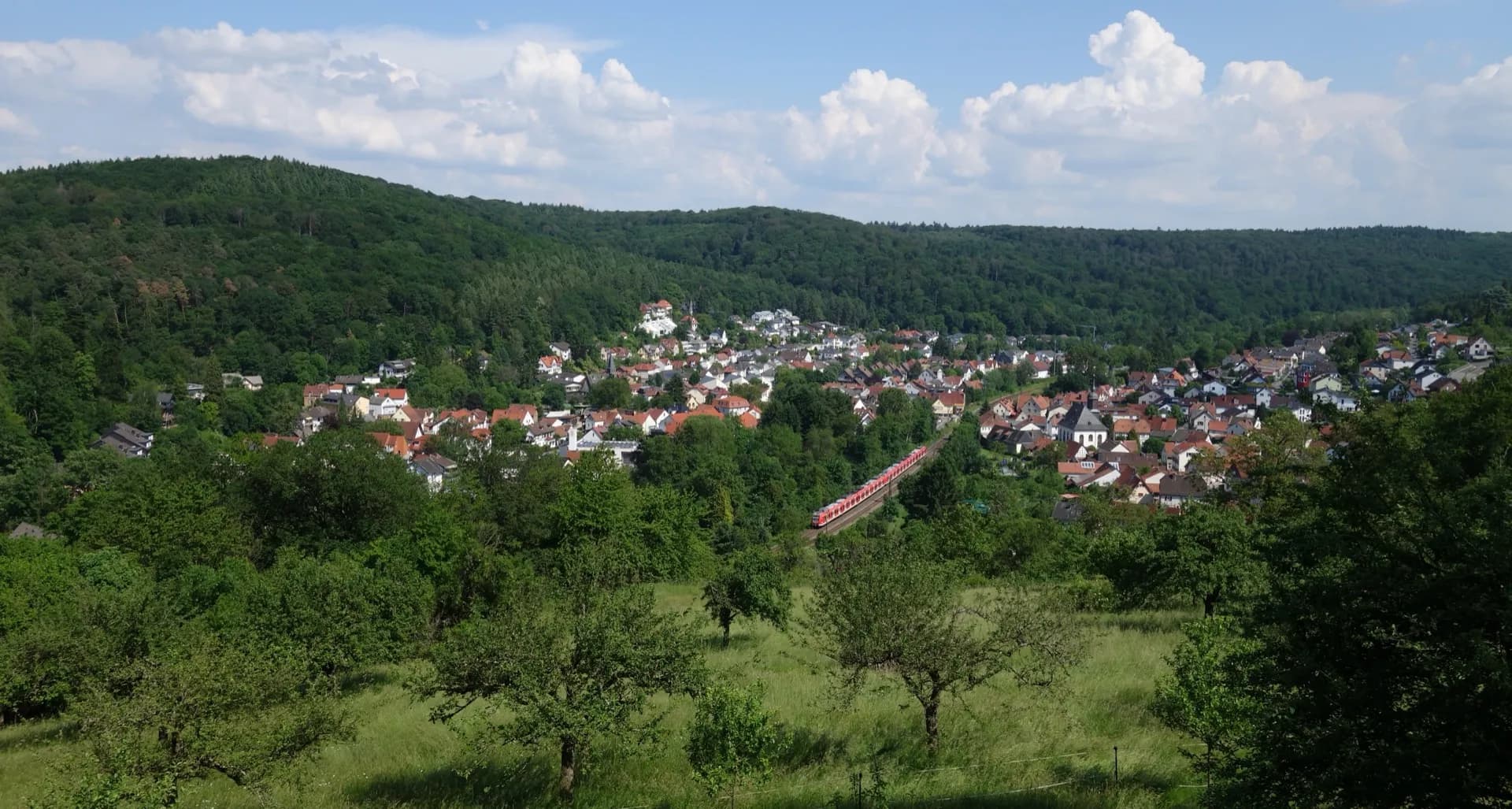 Lorsbach vom Turm am Ringwall