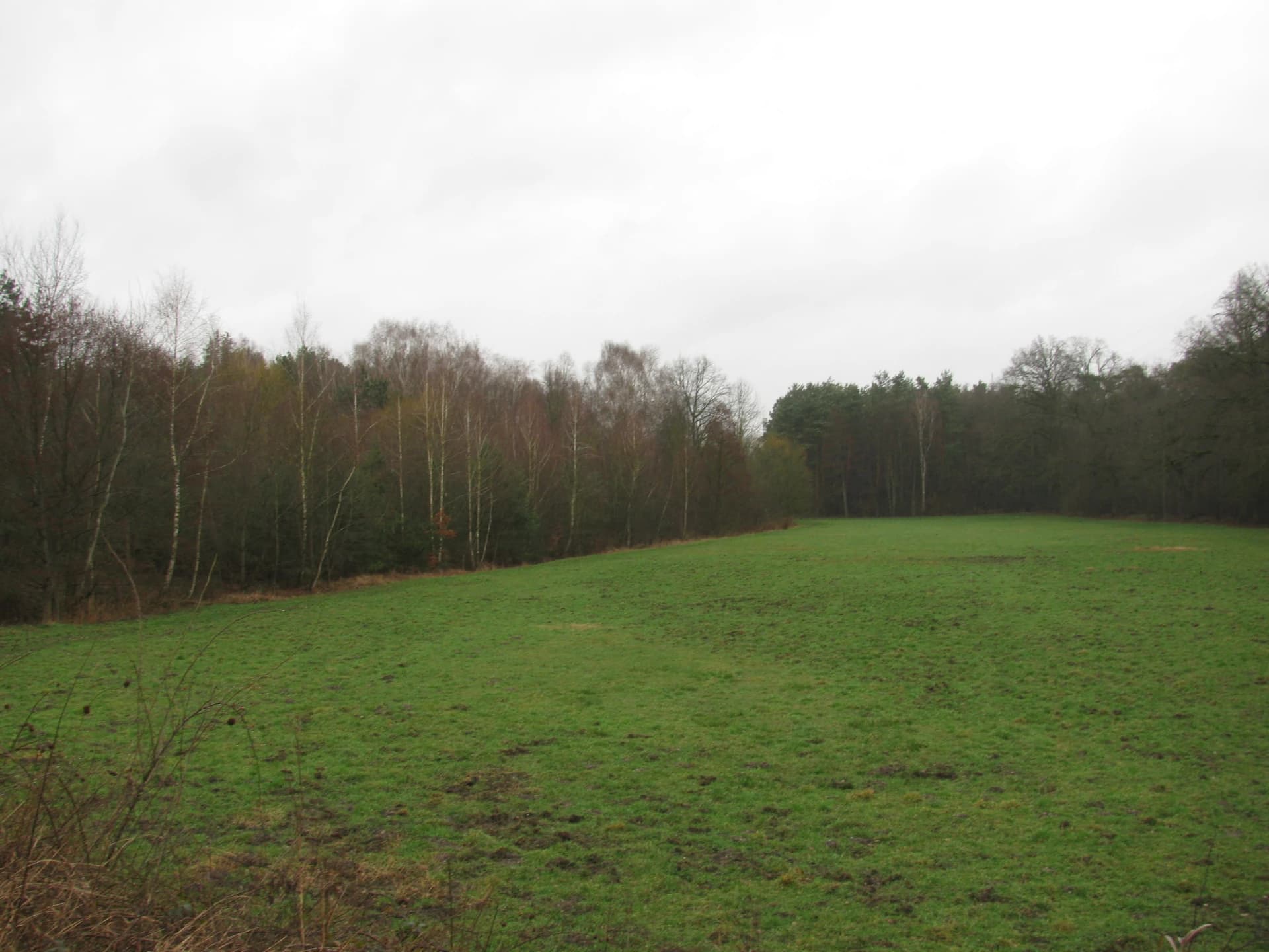 Wiese im Landschaftsschutzgebiet bei Hausen in Obertshausen