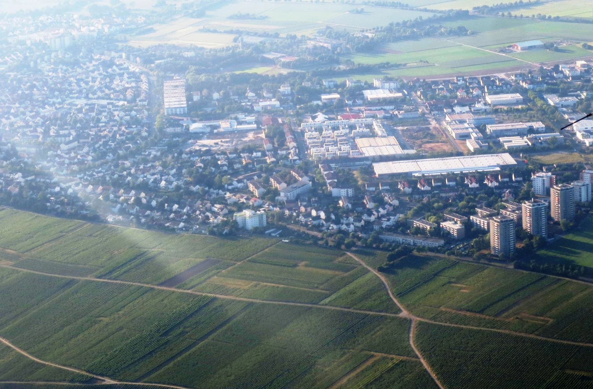Luftbild von Hochheim am Main mit Weinbergen