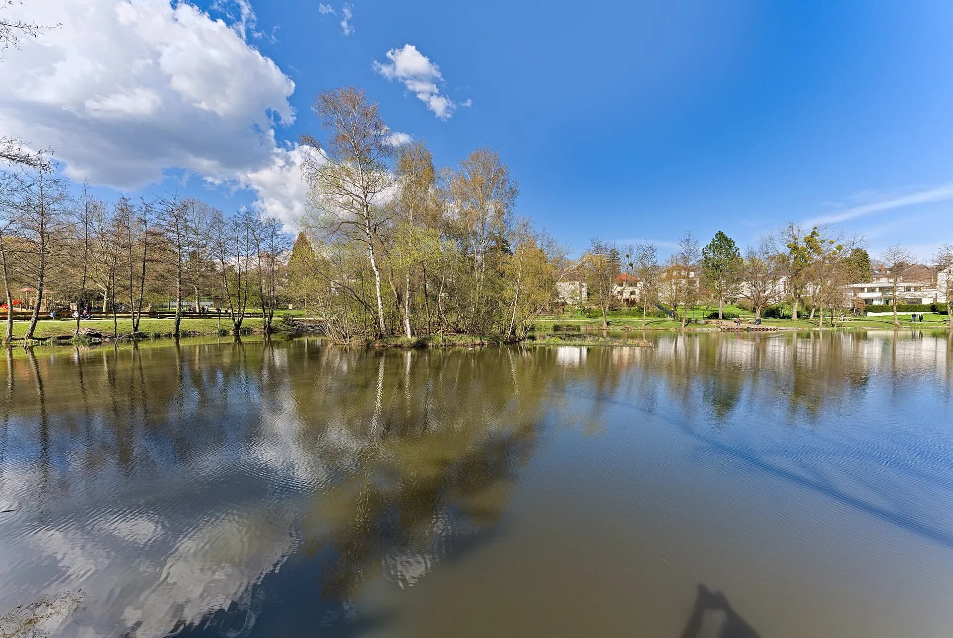Maasgrundweiher in Oberursel (Taunus)