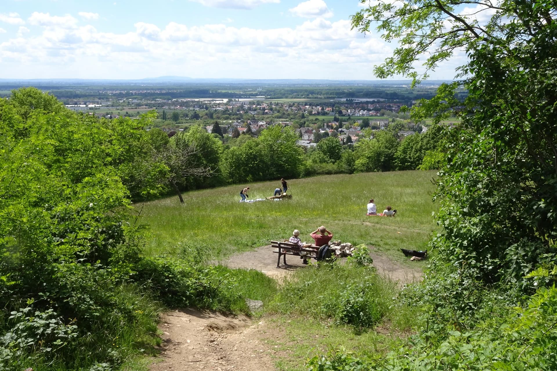 Magerwiese am Heiligenberg in Seeheim-Jugenheim