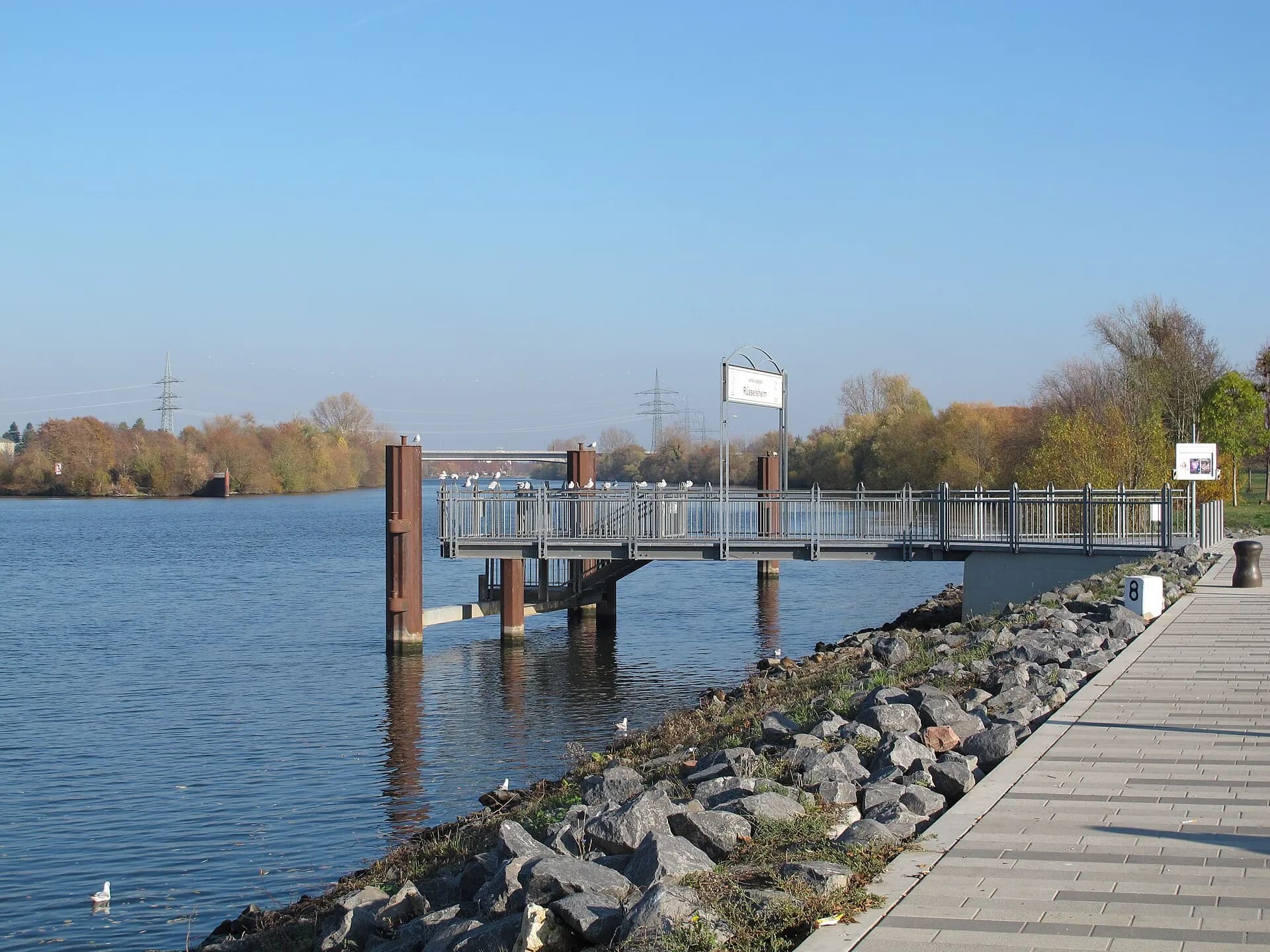 Anlegestelle am Main in Rüsselsheim