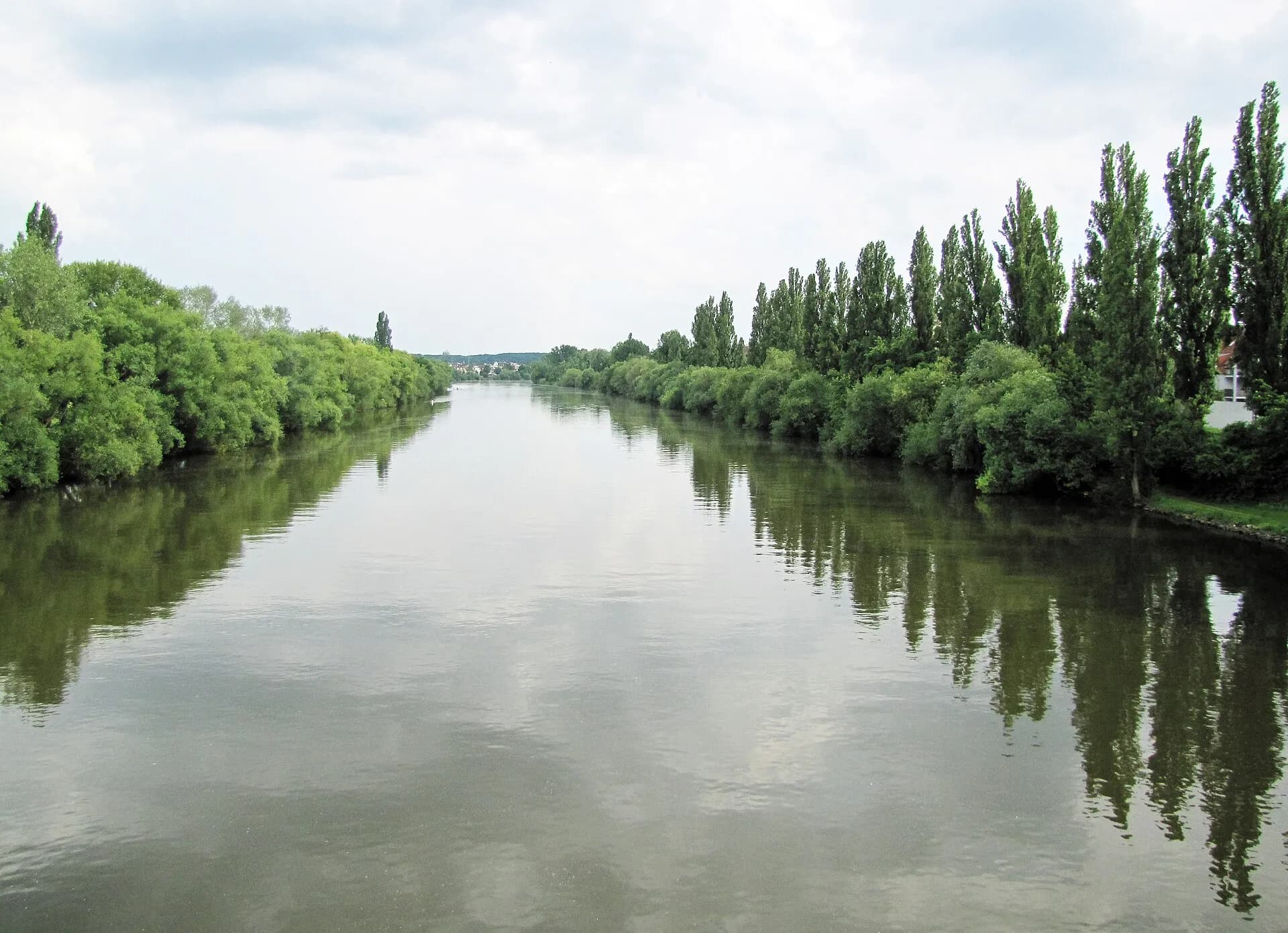 Pappelufer am Fechenheimer Mainbogen in Frankfurt Fechenheim