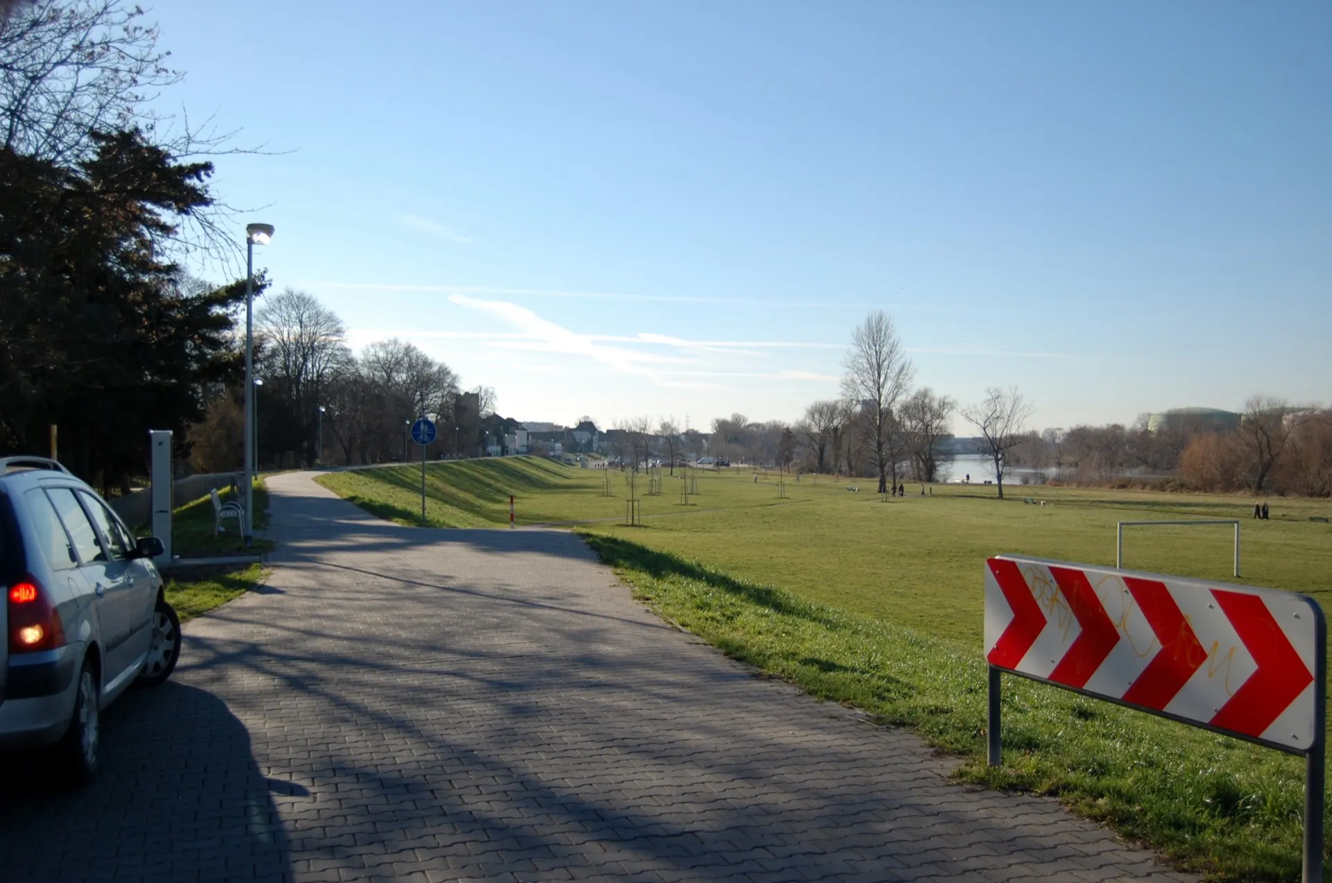 Mainwiesen Rüsselsheim