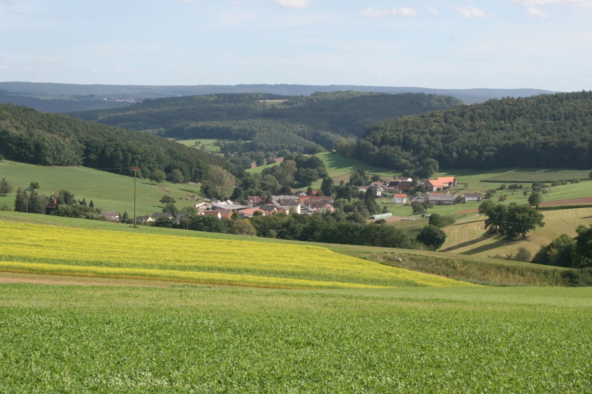 Blick auf Mittel-Kinzig in Bad König