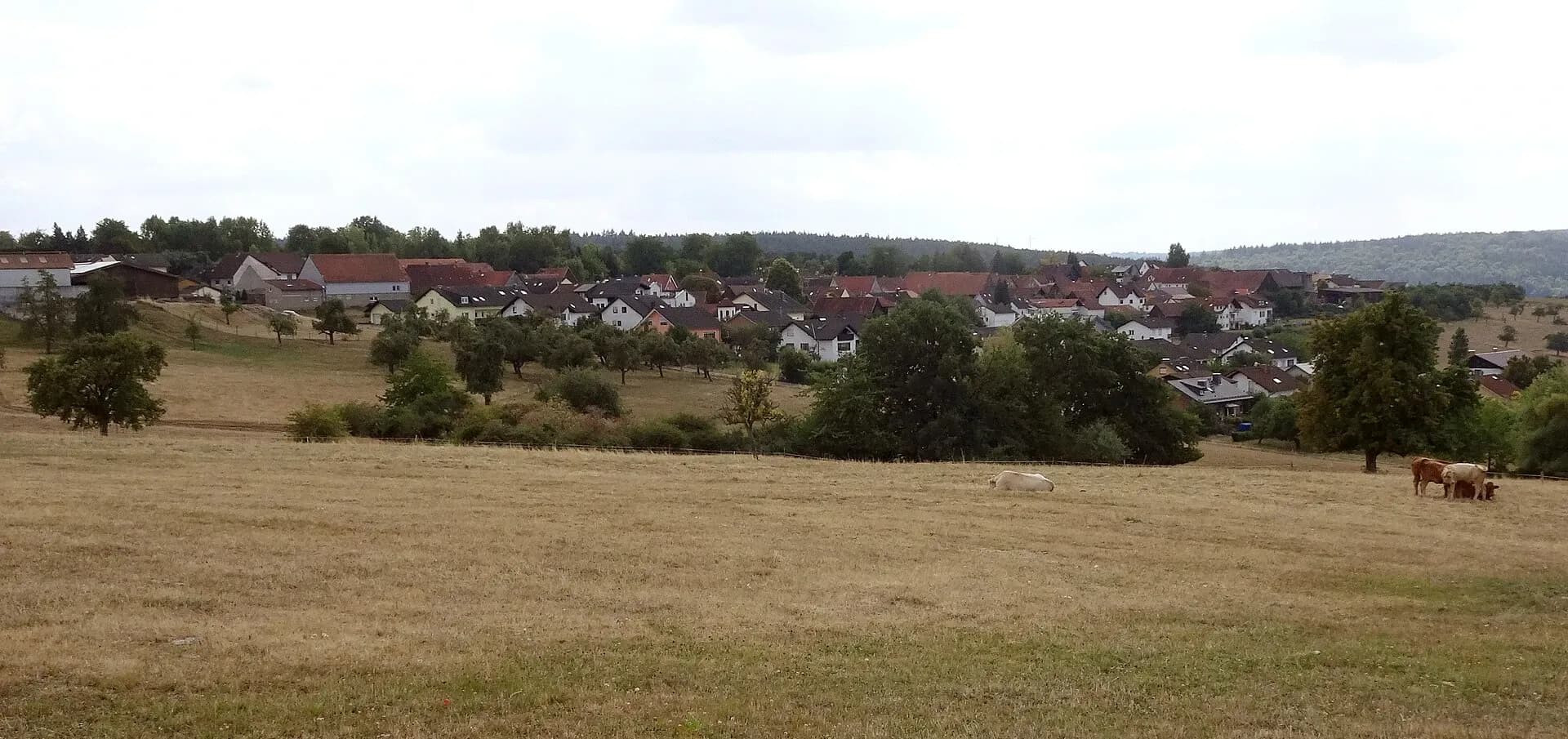 Blick auf Momart in Bad König