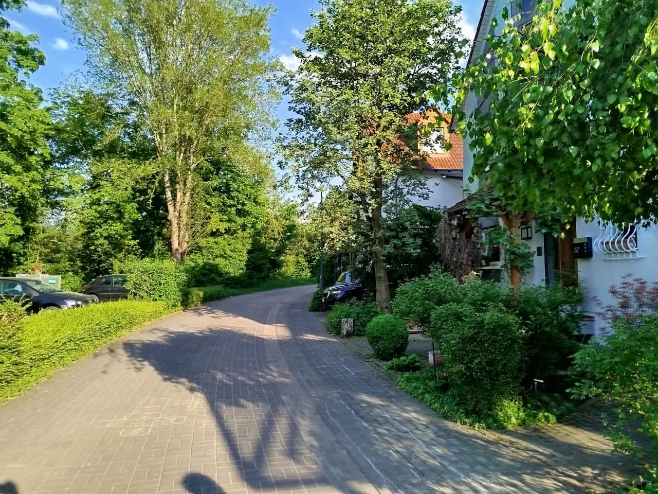Alzenau in den Mühlgärten