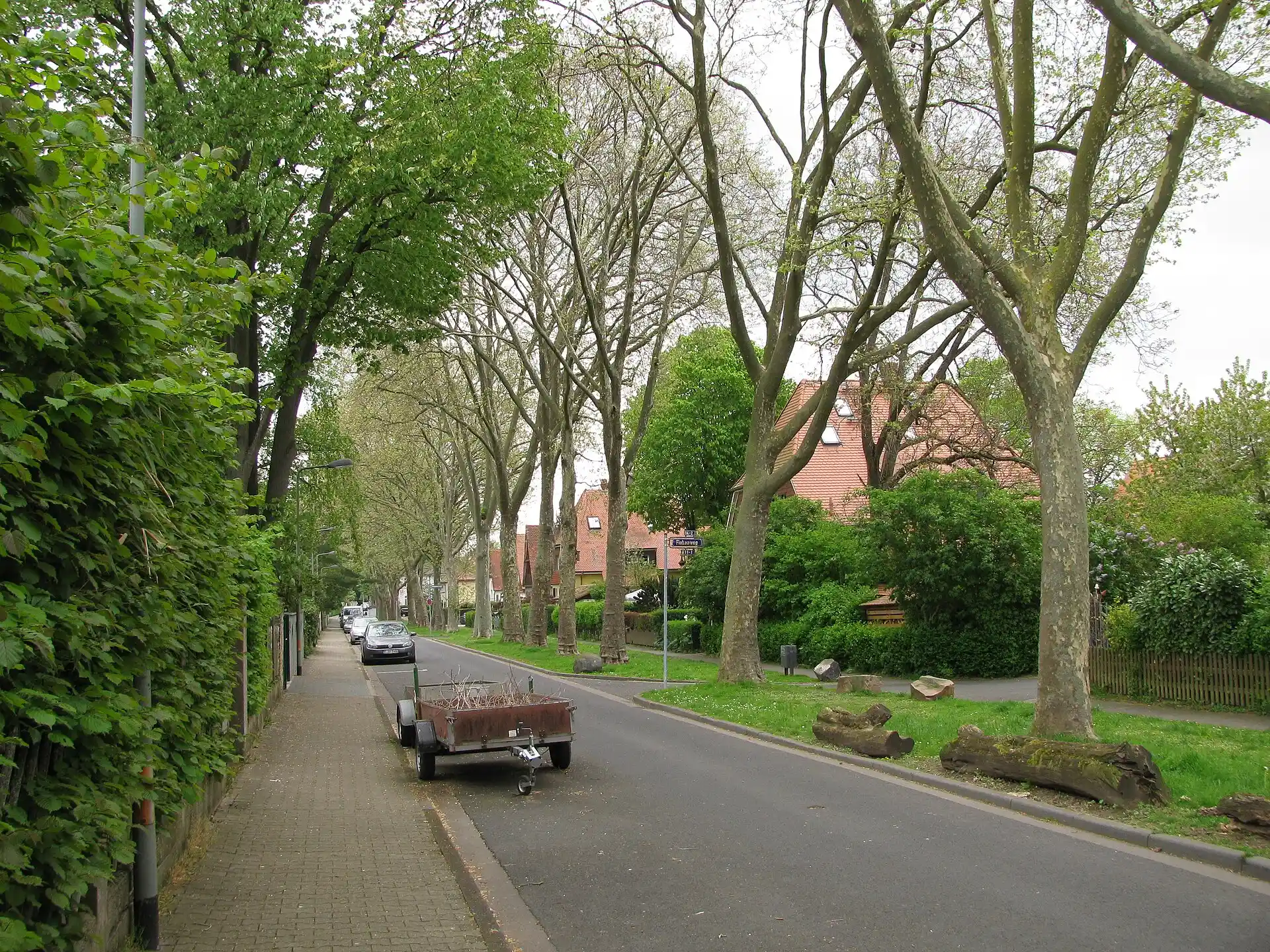 Baumbestandener Nachtigallenweg in Frankfurt-Unterliederbach