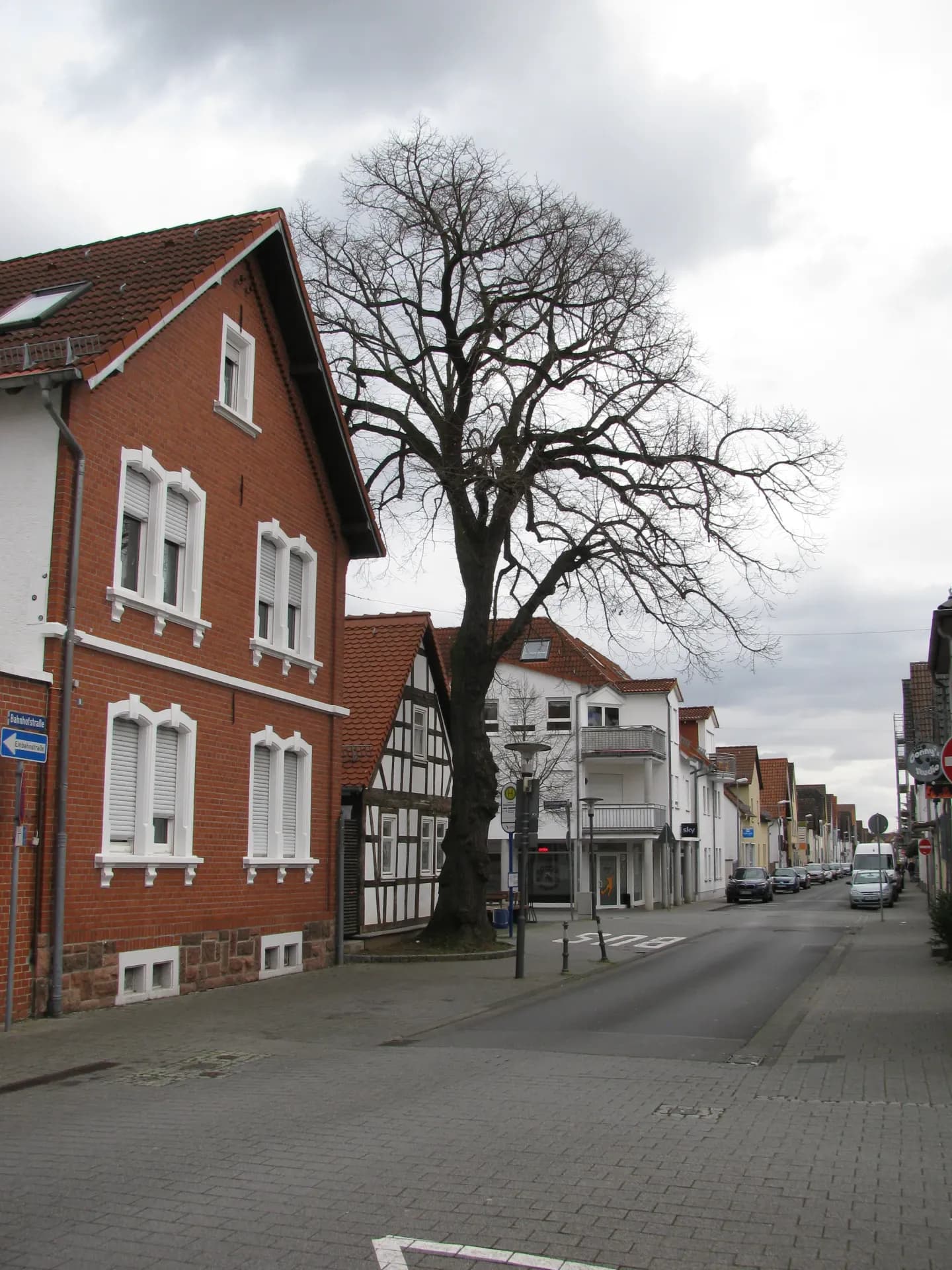 Naturdenkmal Linde in der Bahnhofstraße in Raunheim