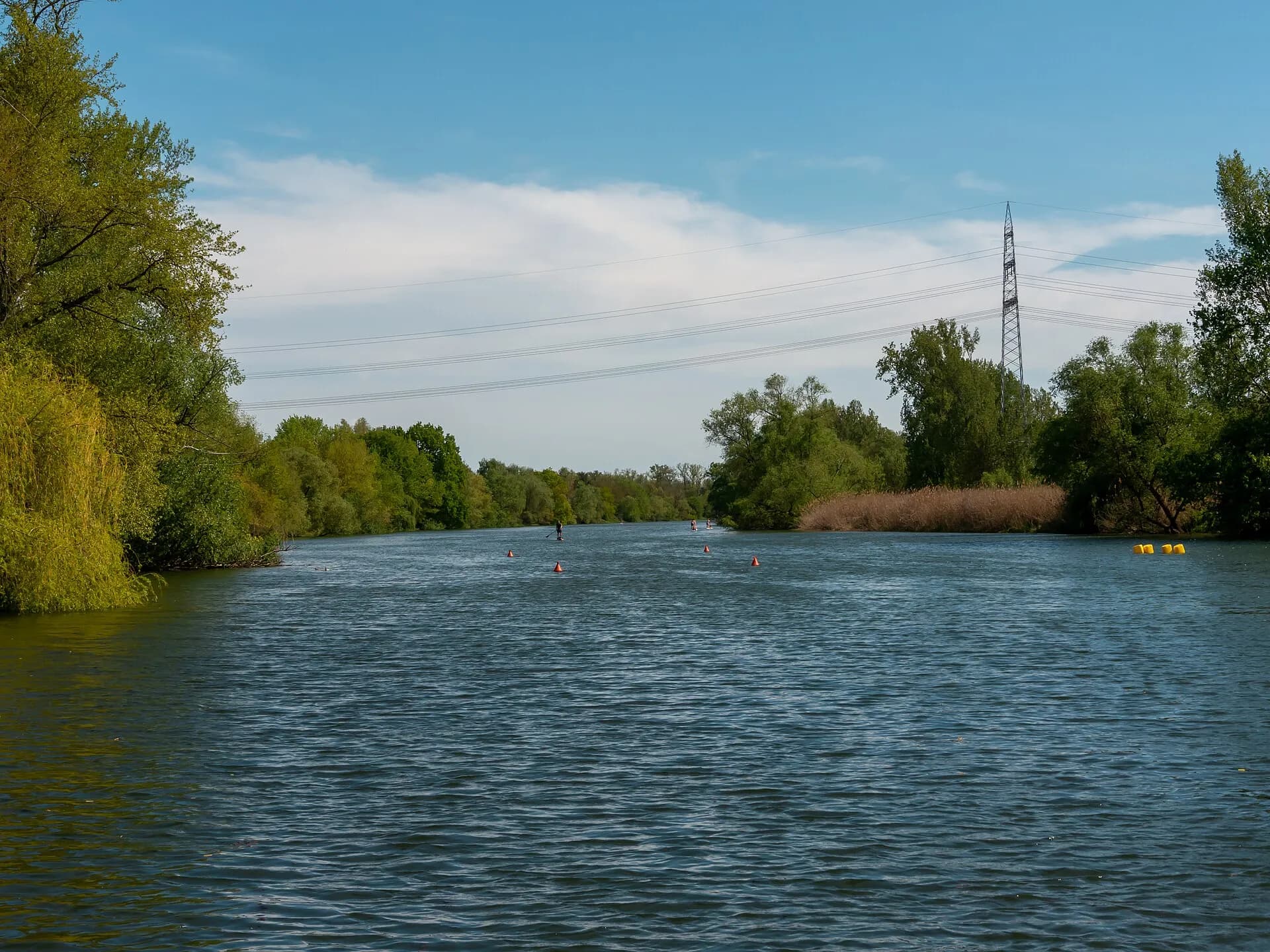 Altrheinarm in der Neuaue bei Ginsheim