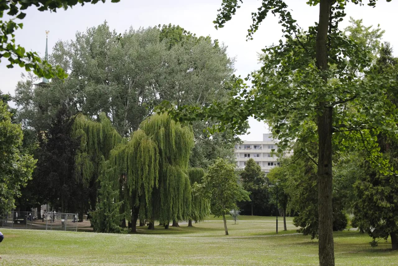Neuer Kurpark in Bad Soden am Taunus