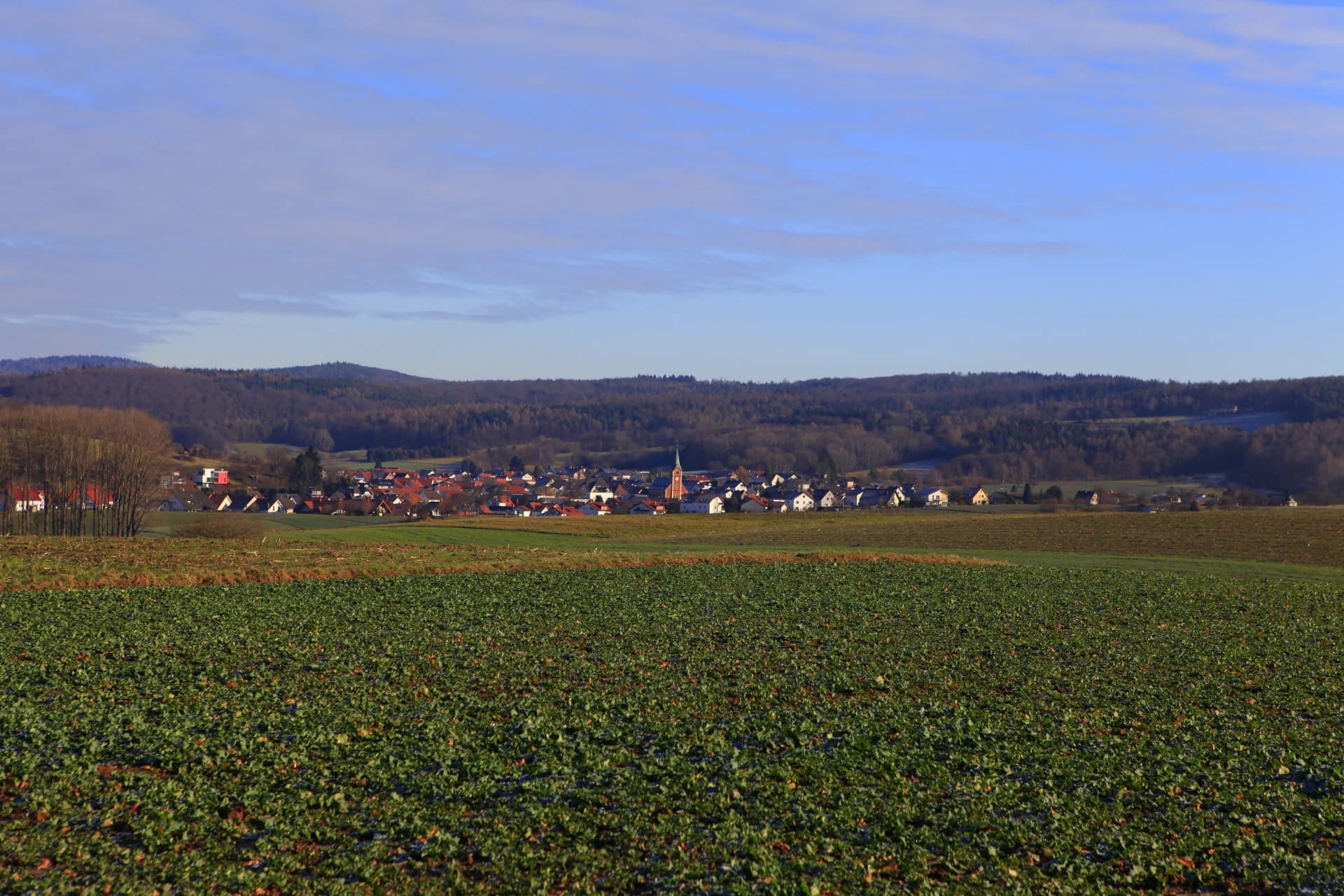 Blick über die Felder auf den Ortsteil Neuses in Freigericht