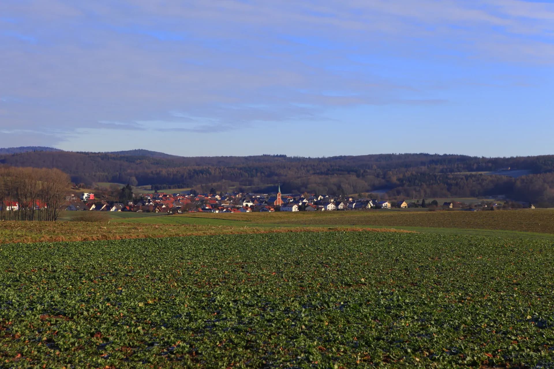 Blick über die Felder auf den Ortsteil Neuses in Freigericht