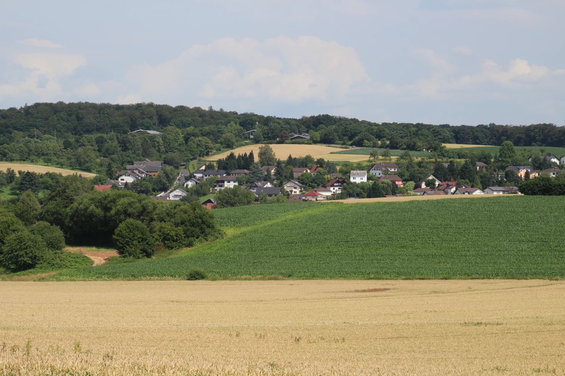 Ortsansicht von Ronneburg-Neuwiedermuß über den Feldern