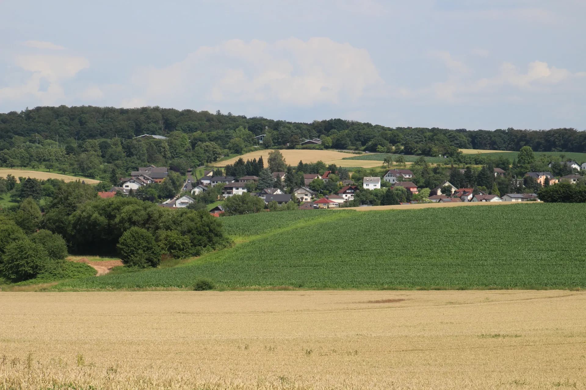 Ortsansicht von Ronneburg-Neuwiedermuß über den Feldern