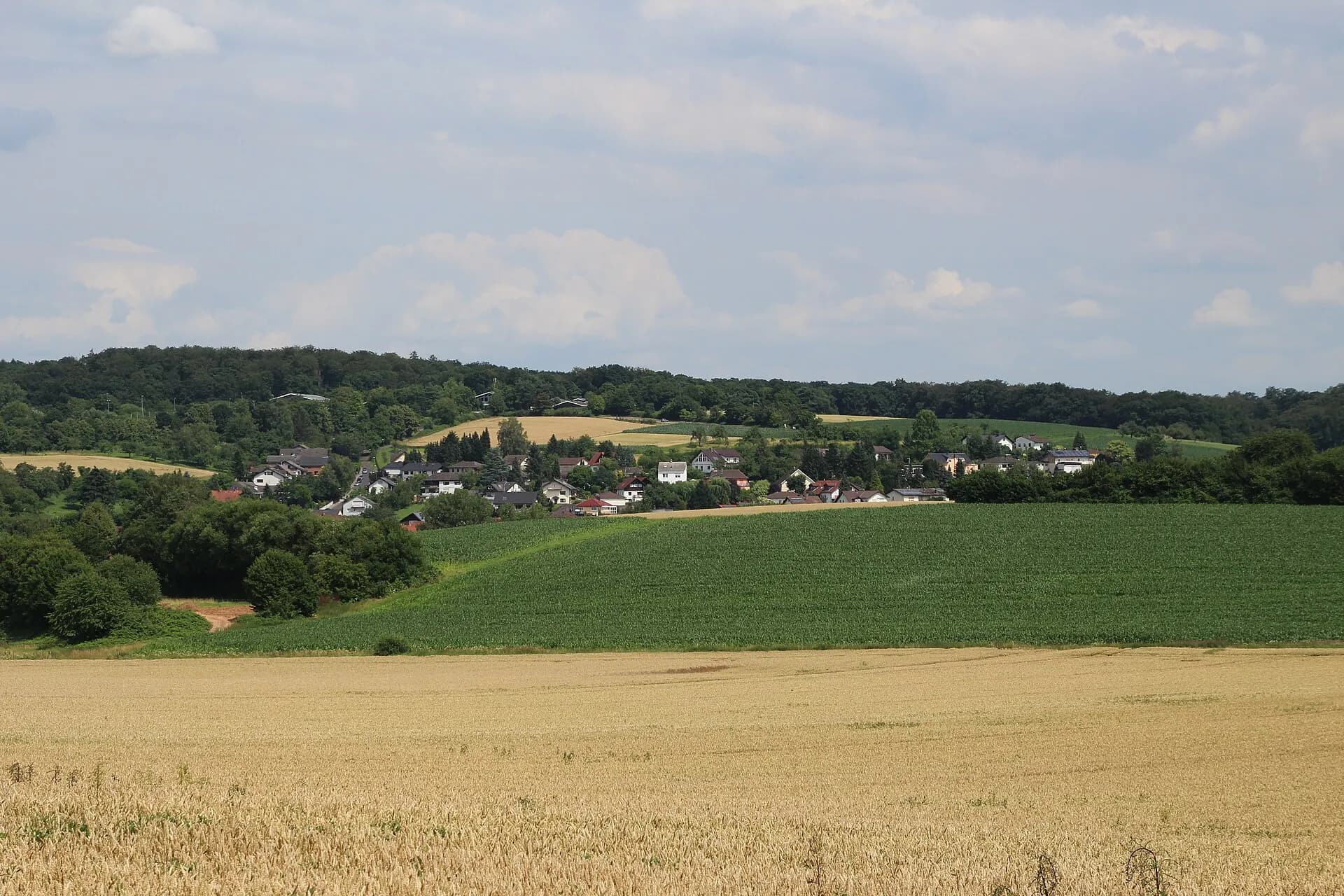 Ronneburg-Neuwiedermuß hinter den Feldern