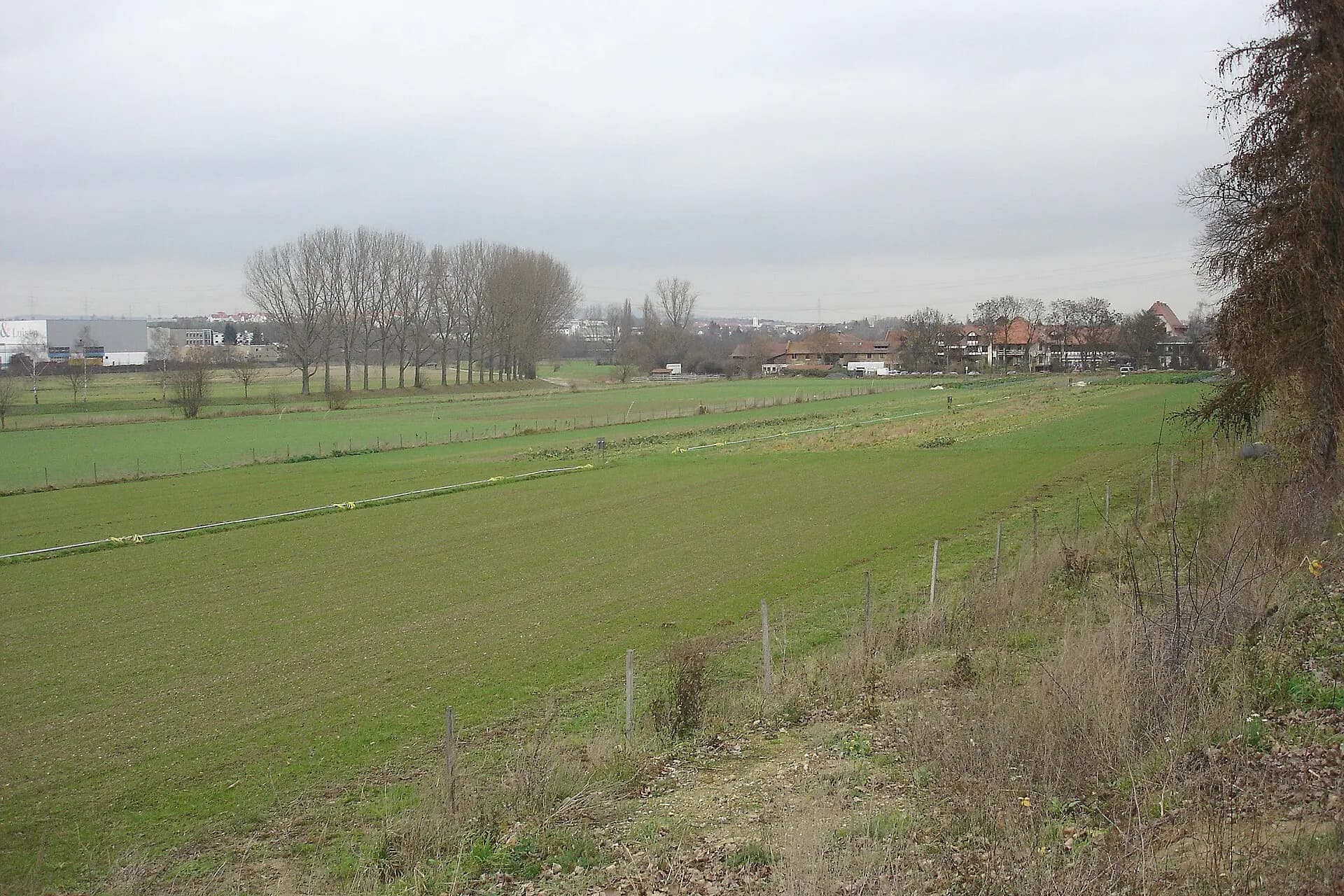 Nidda-Auen bei Bad Vilbel