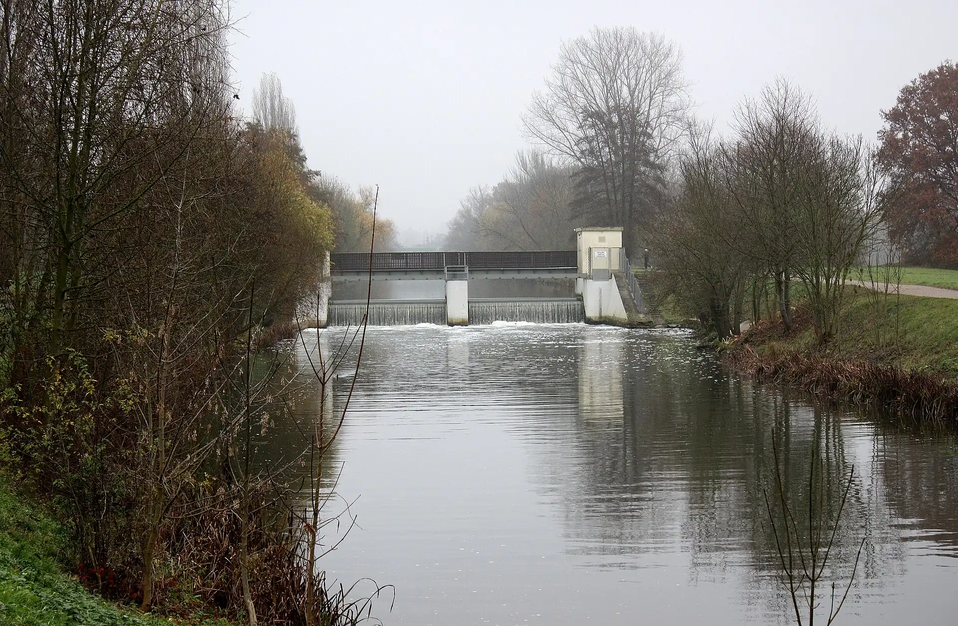 Nidda mit Wehr im Nebel bei Frankfurt Praunheim