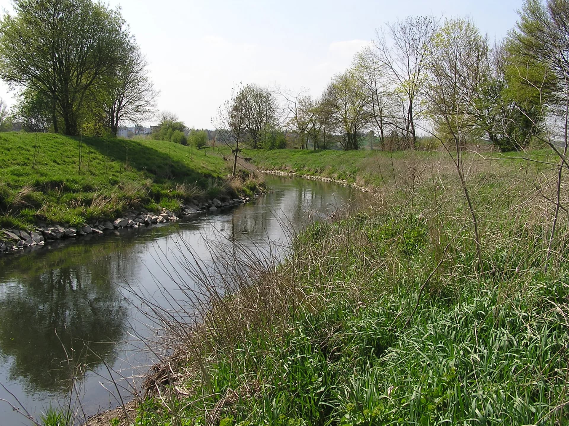 Nidda bei Wöllstadt