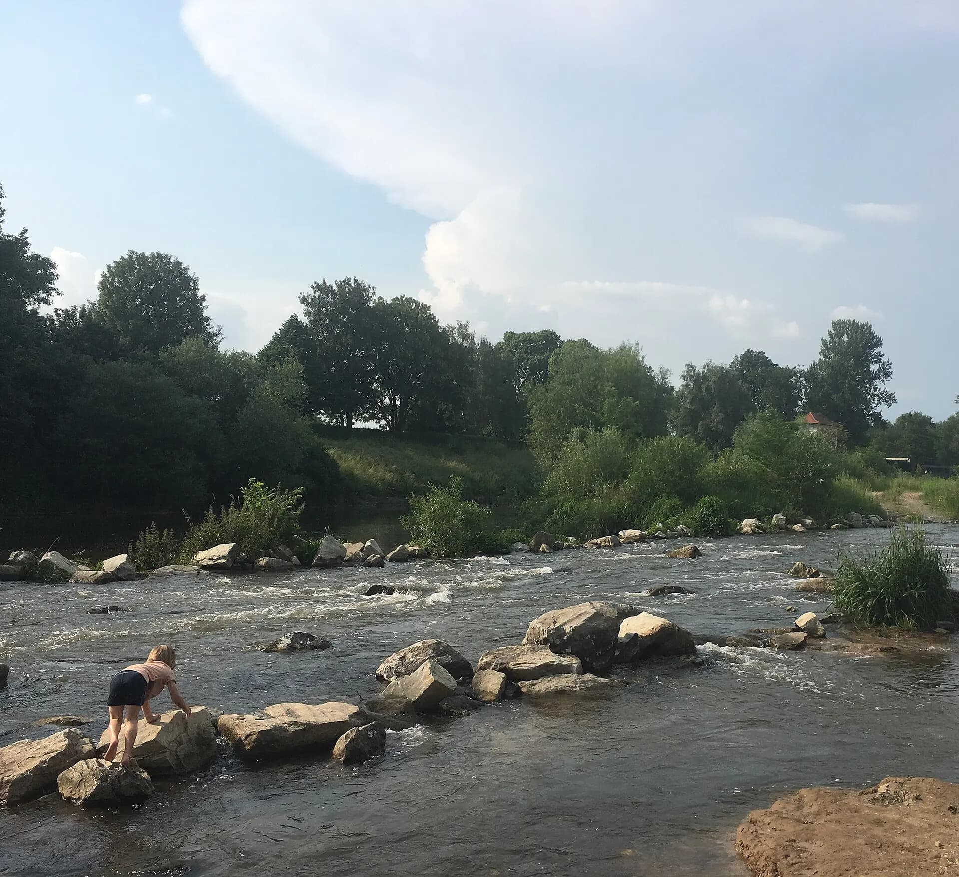 Niddaufer vor der Siedlung Im Mittleren Sand in Frankfurt-Nied