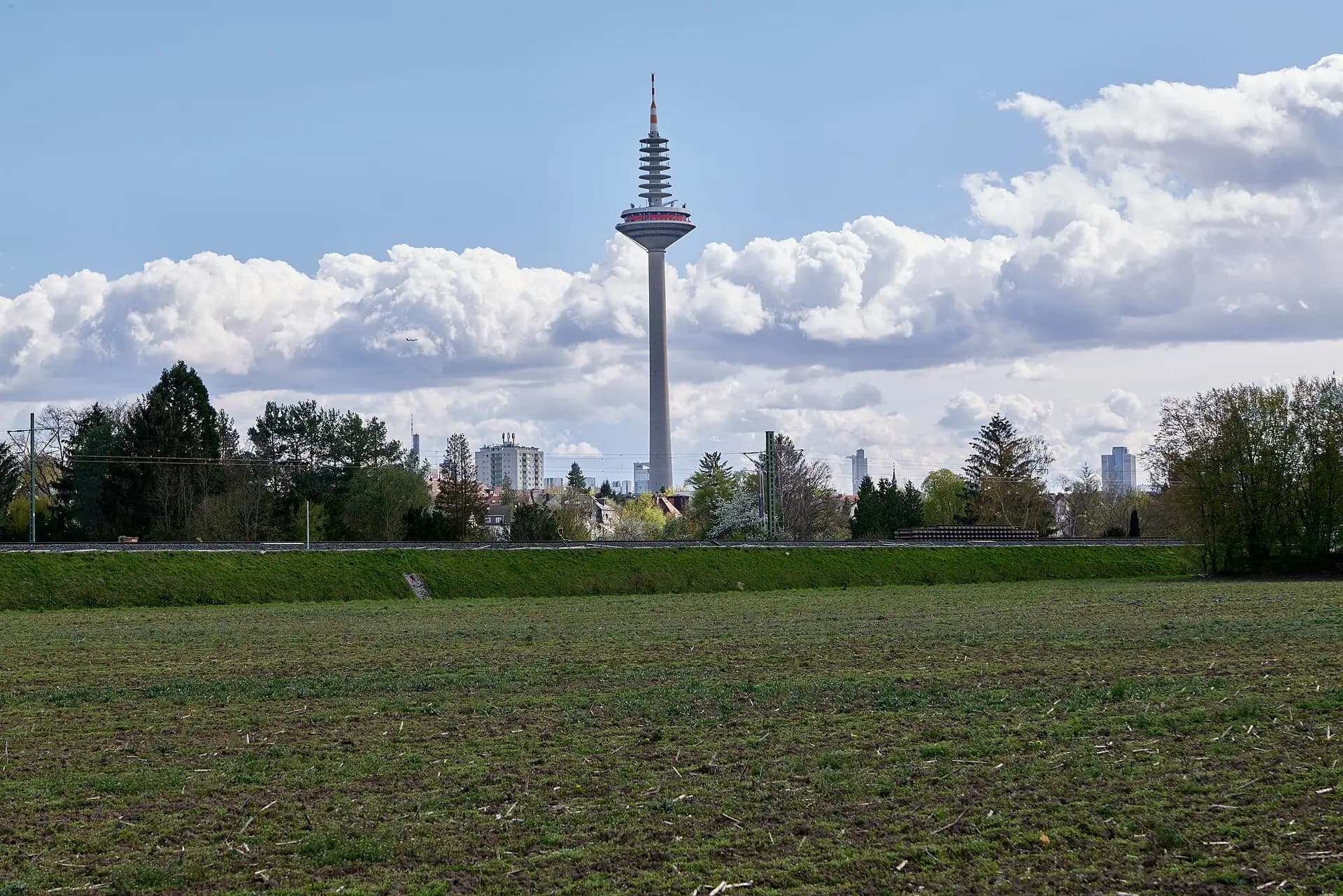 Niddawiese mit Blick auf den Europaturm in Frankfurt Ginnheim