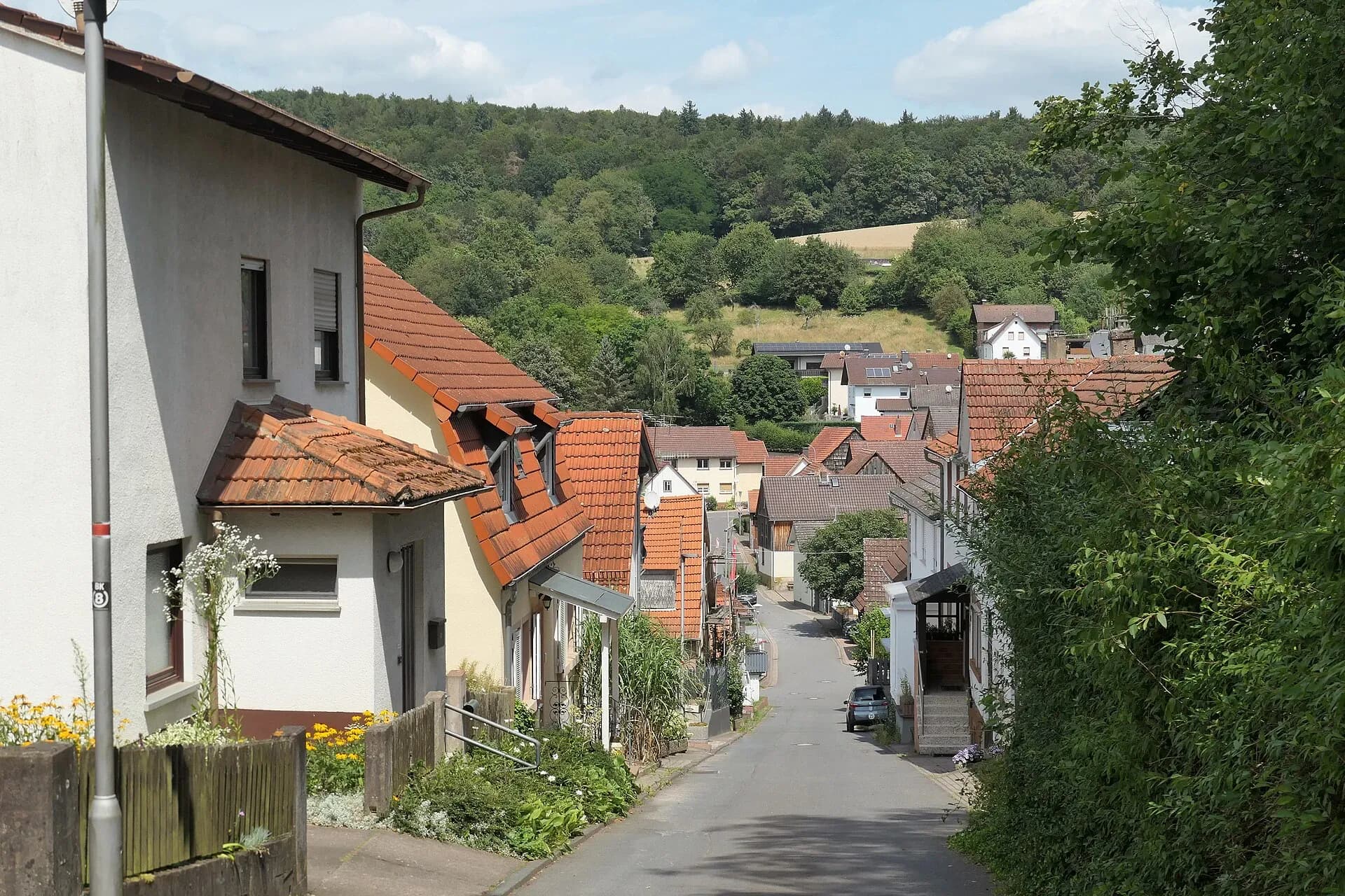 Eichelsweg in Nieder-Kinzig in Bad König
