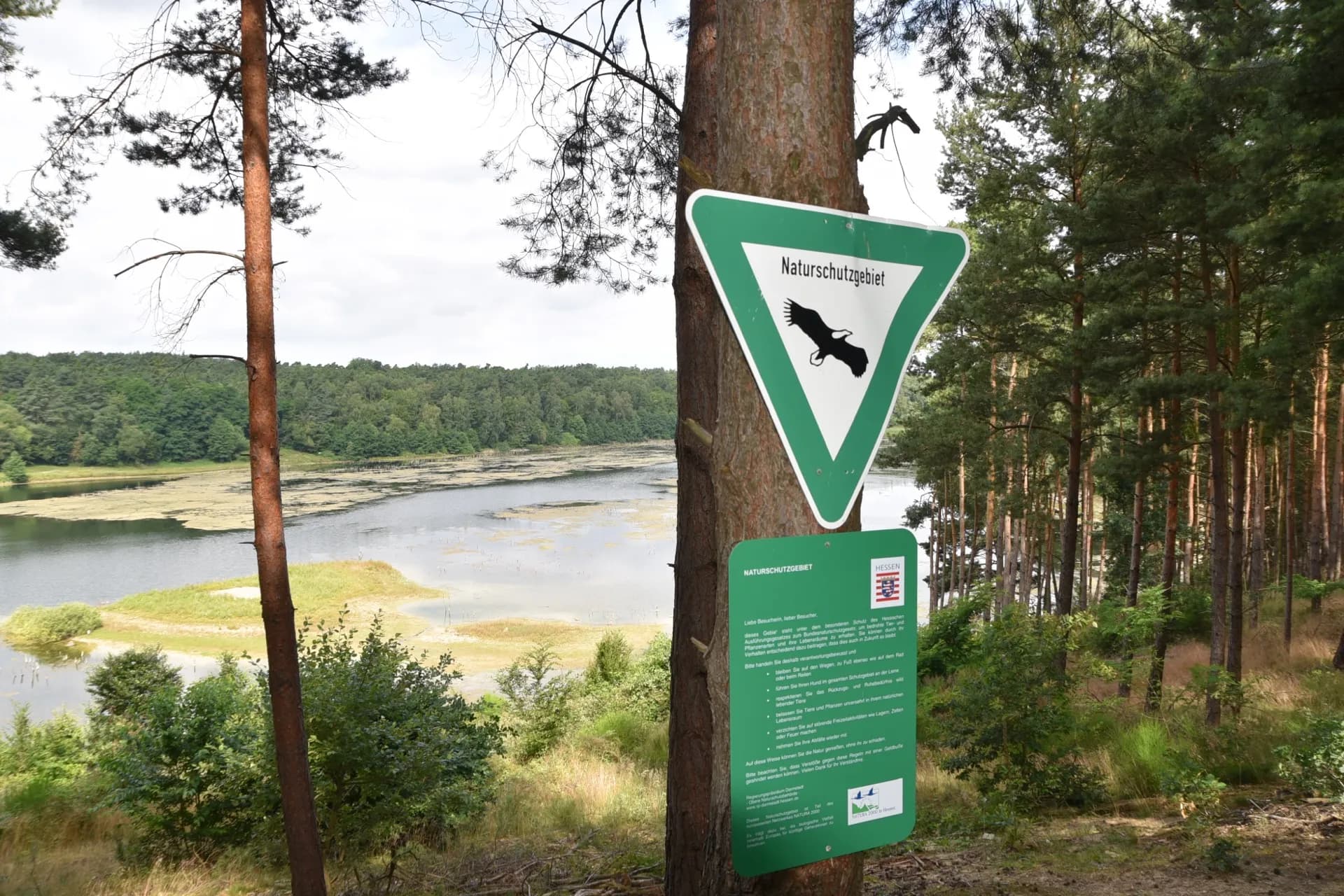NSG Gehspitzweiher bei Neu-Isenburg