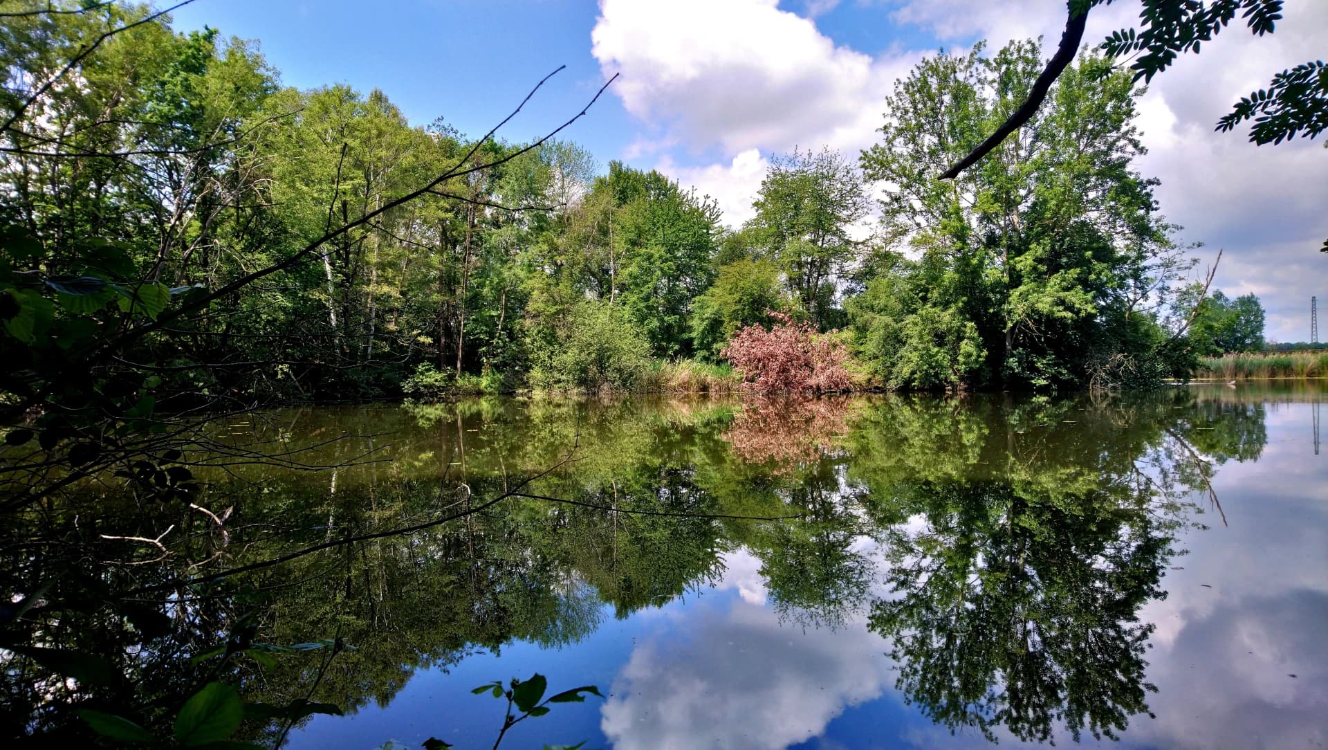 Weiher im Naturschutzgebiet Röhrig von Rodenbach