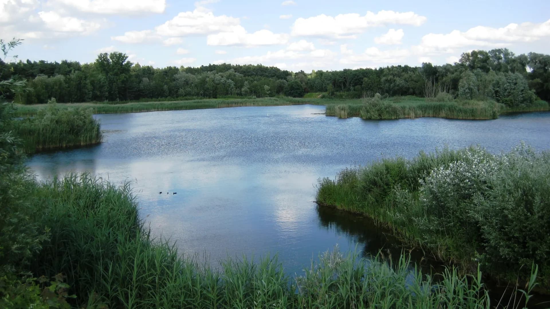 Naturschutzgebiet See am Goldberg in Heusenstamm