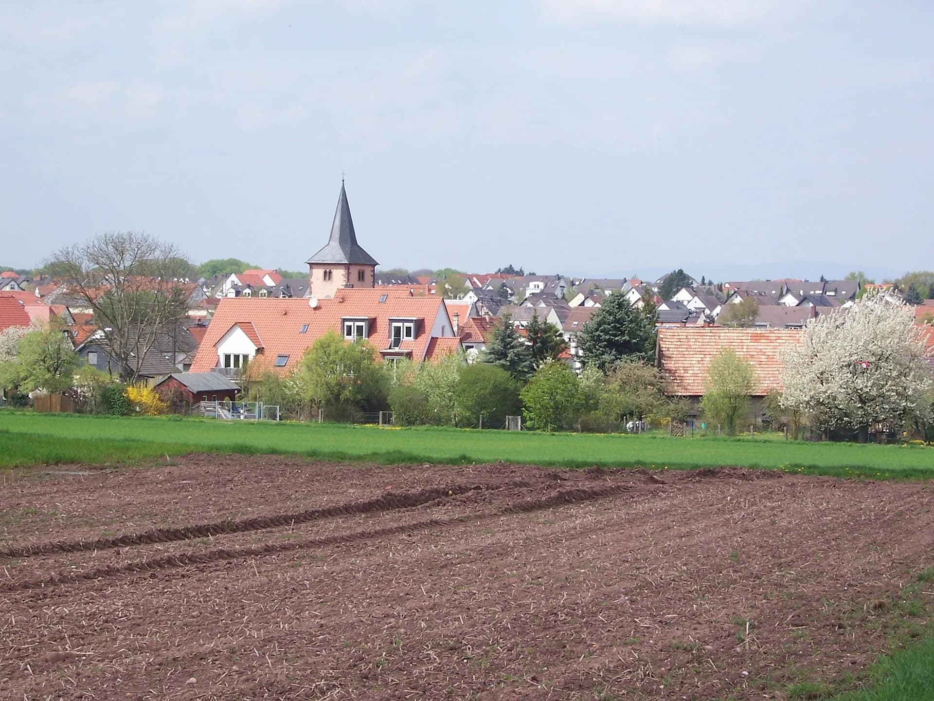Ortsansicht über die Felder von Dreieich-Offenthal