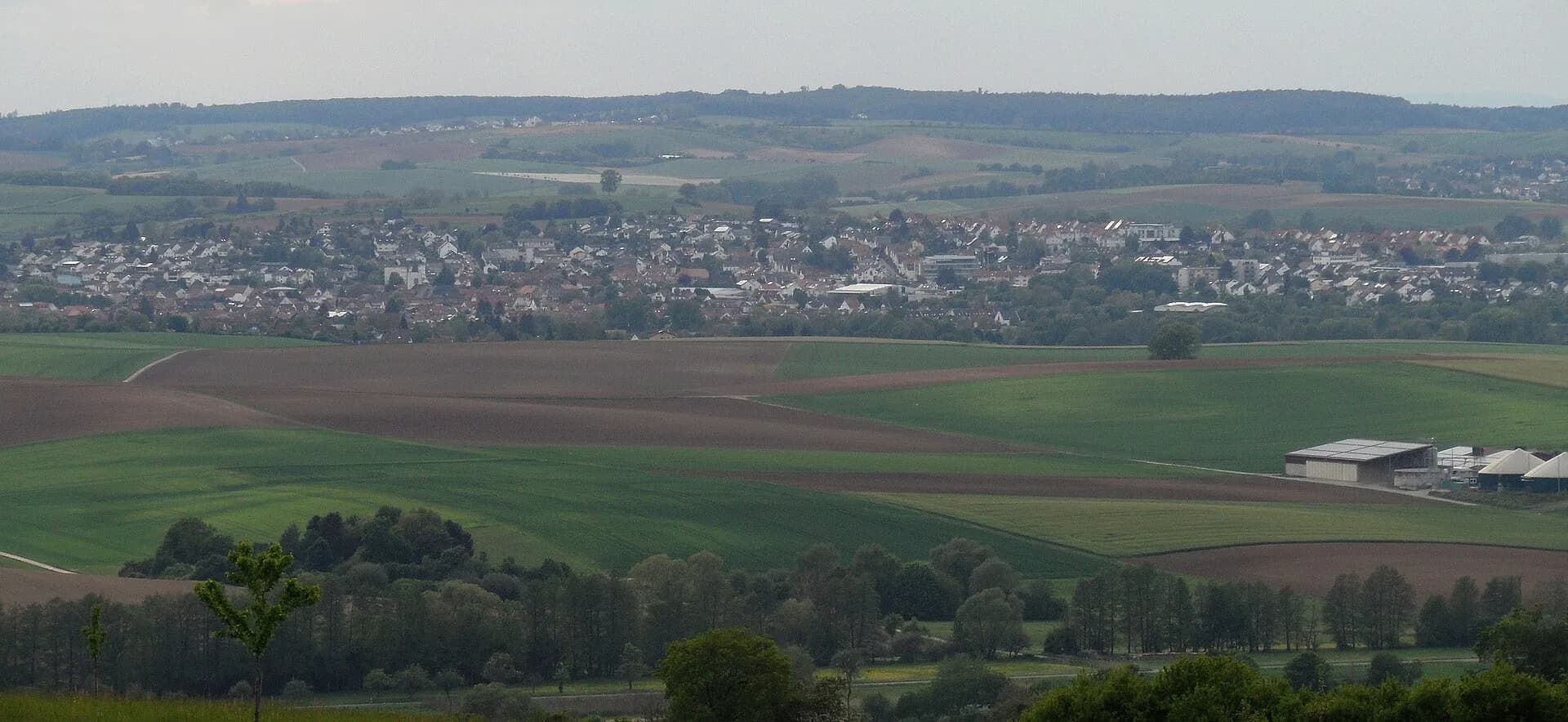 Blick über das Hügelland auf Reinheim