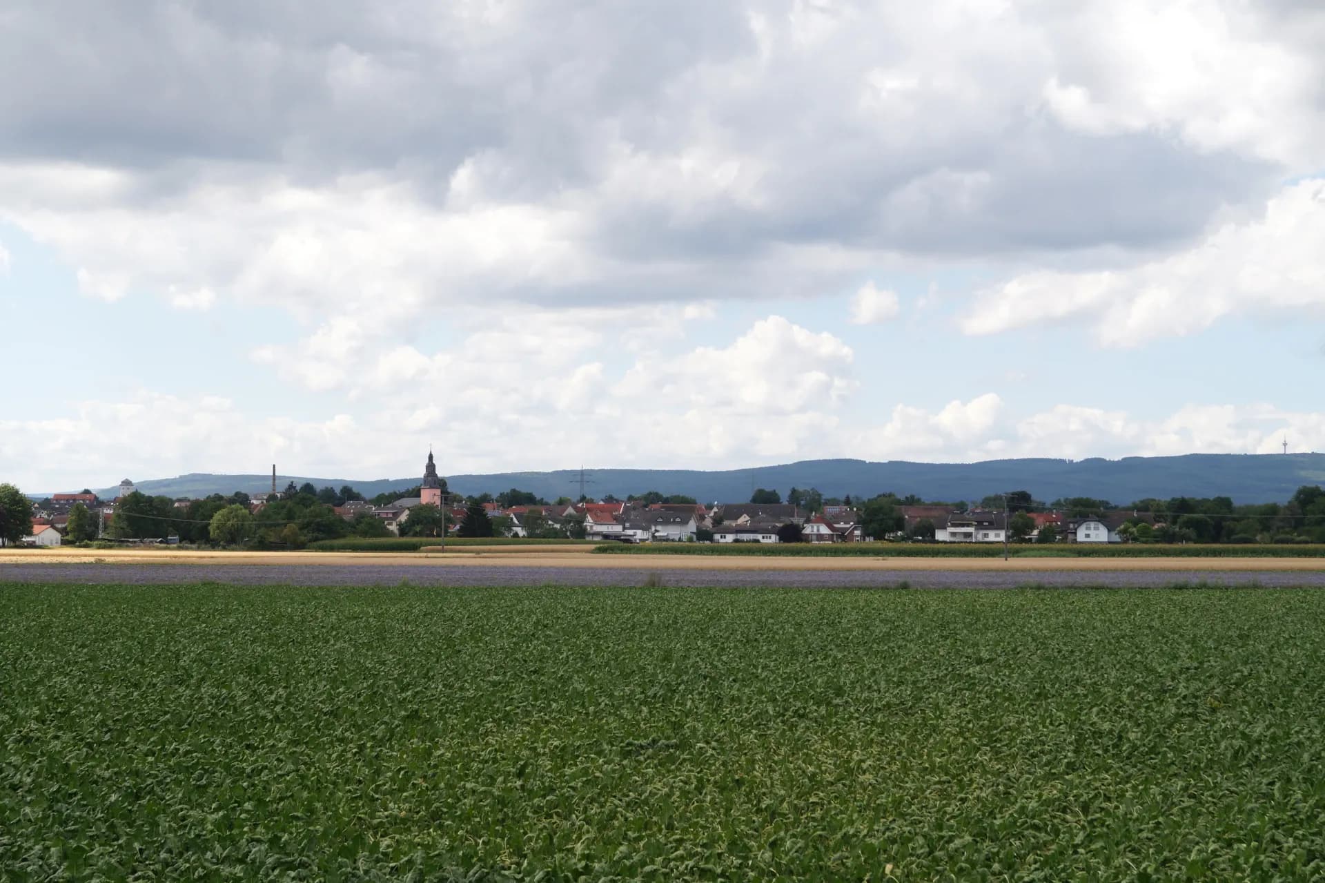 Ortsansicht von Nieder-Wöllstadt mit Feldern und Taunus im Hintergrund