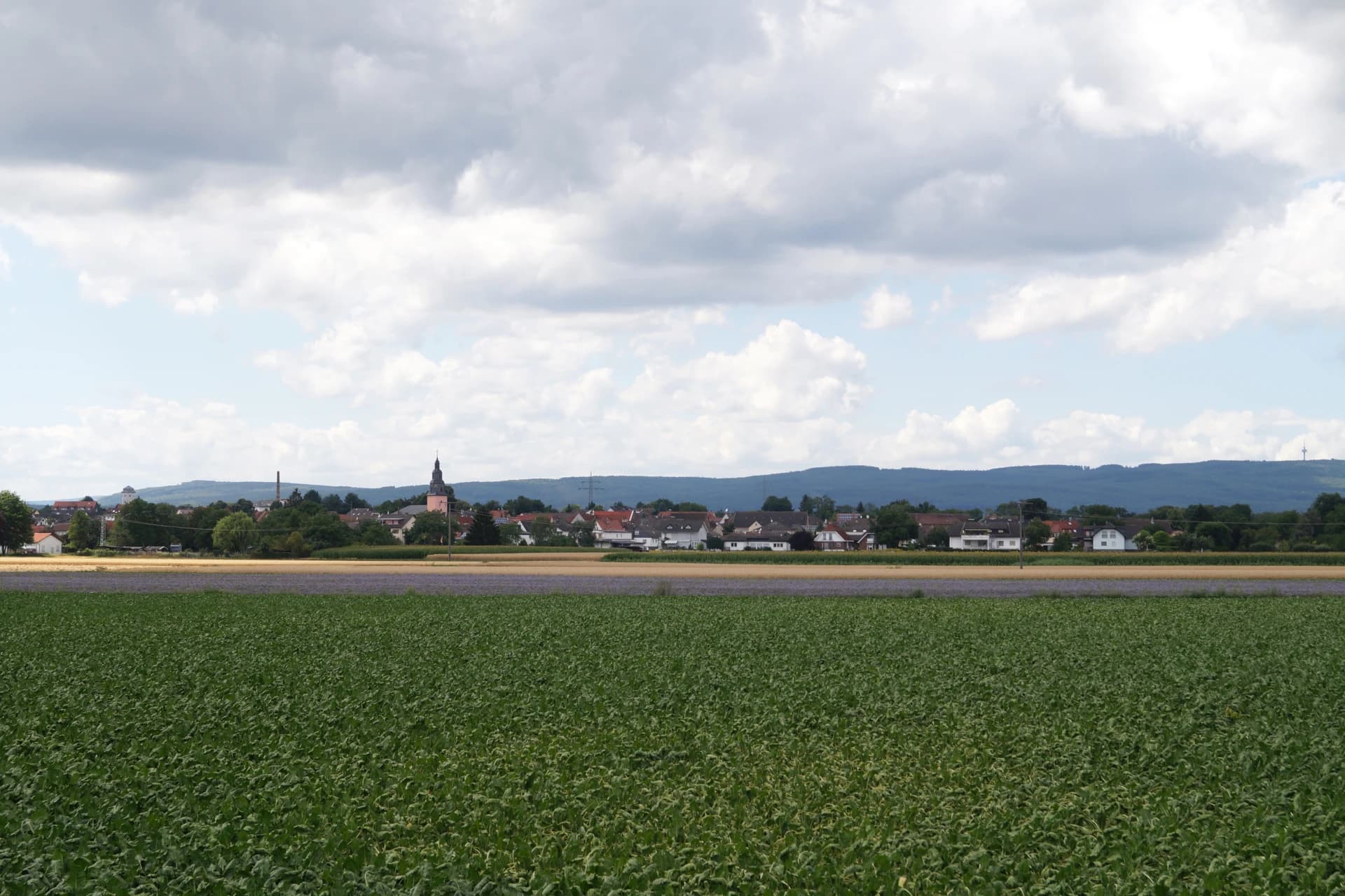 Ortsansicht von Nieder-Wöllstadt mit Feldern und Taunus im Hintergrund
