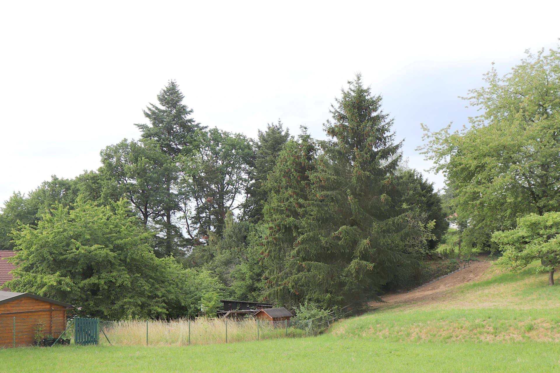 Wiese am bewaldeten Ortsrand in Bessenbach