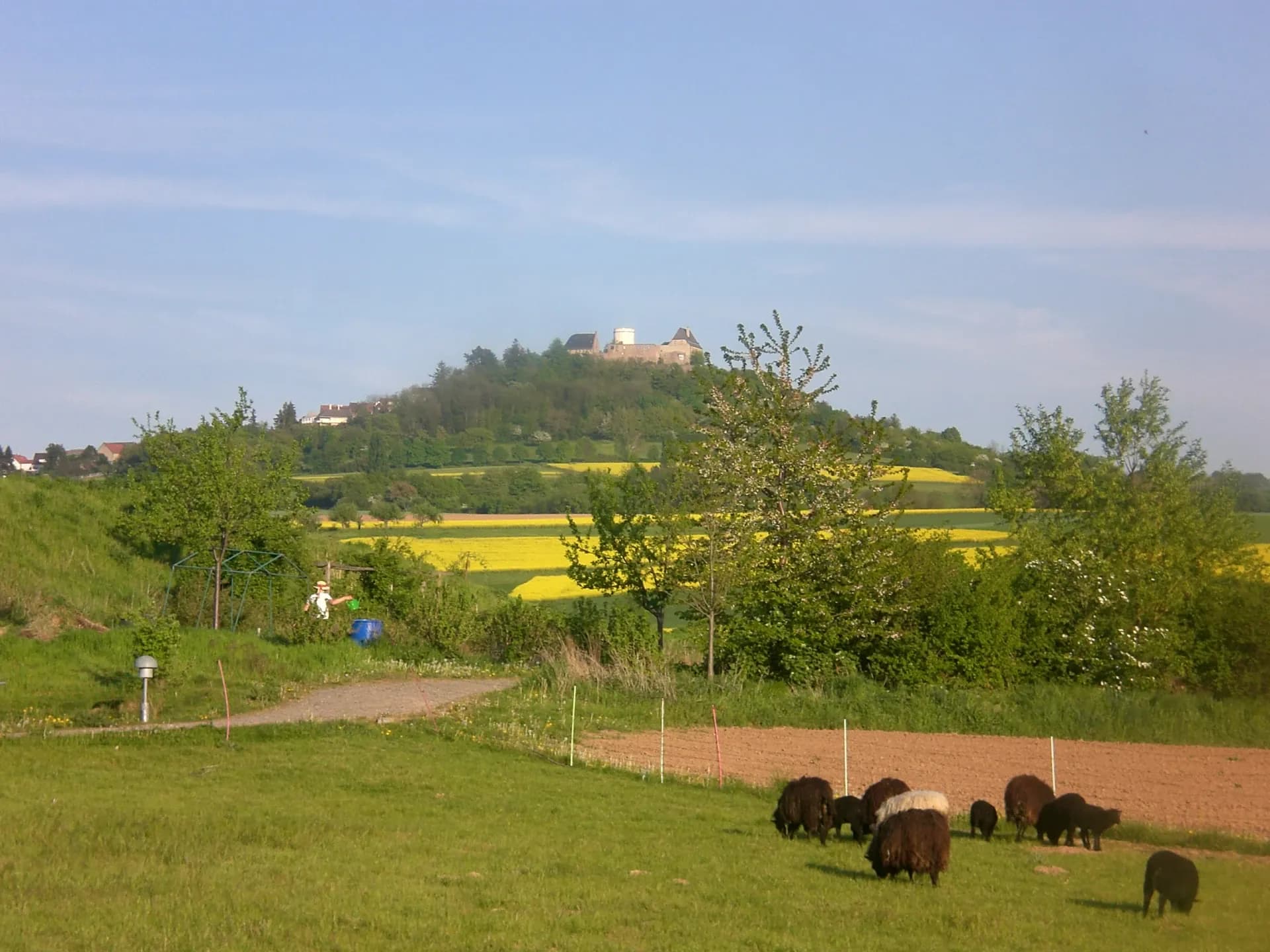 Blick über Felder auf den Otzberg mit der Veste