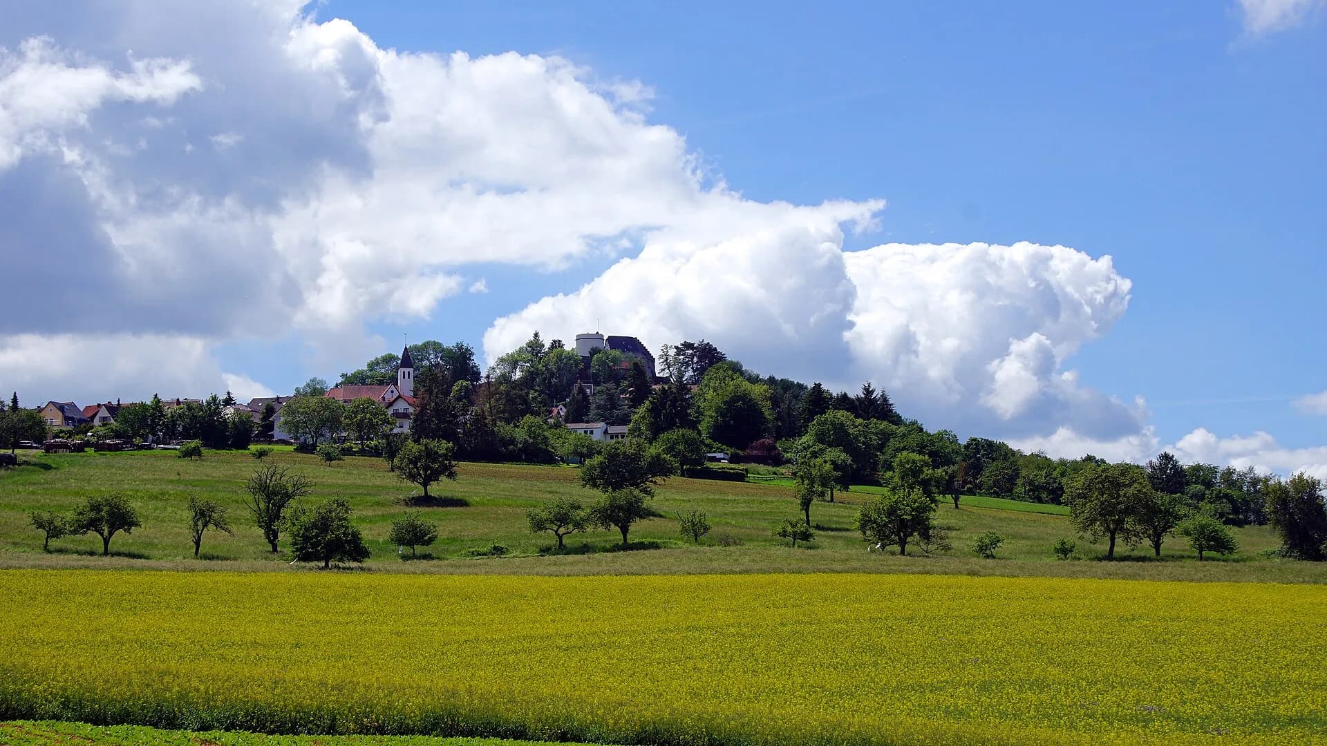 Der Otzberg mit der Veste hinter einem blühenden Rapsfeld