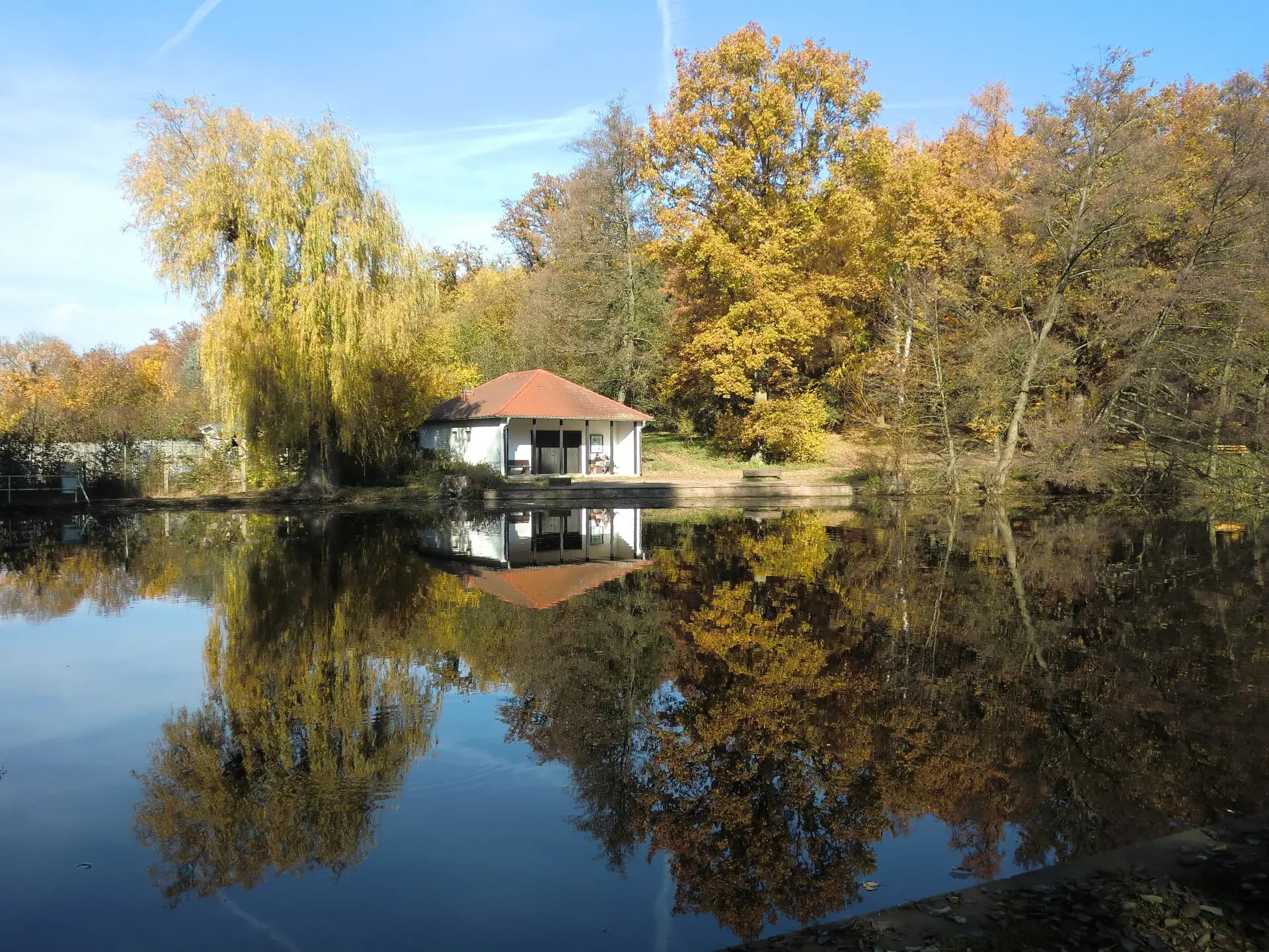 Paddelteich in Langen im Herbst