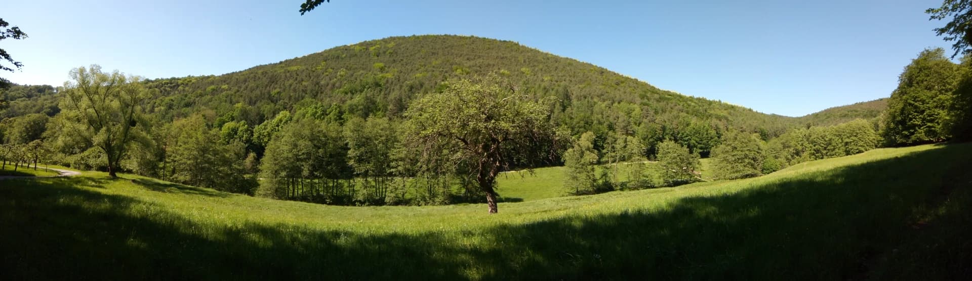 Panoramablick über den Bachgraben auf den Schlossberg in Leidersbach