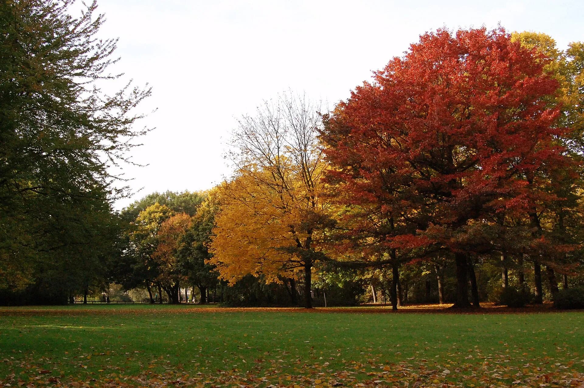 Park Schöntal im Herbst in Aschaffenburg