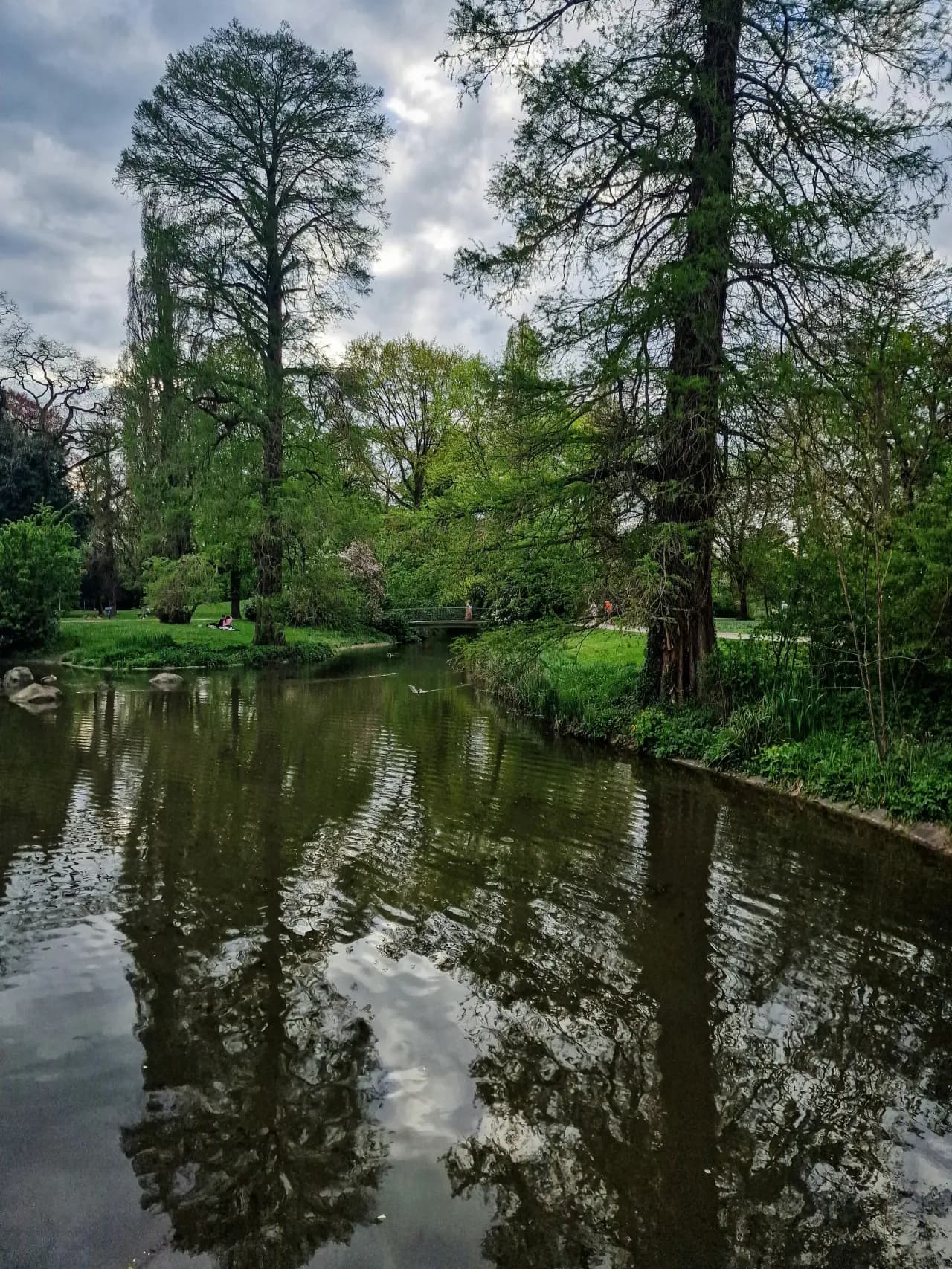 Parkteich mit hohen Bäumen und kleiner Brücke, im Wasser gespiegelt, in Hanau