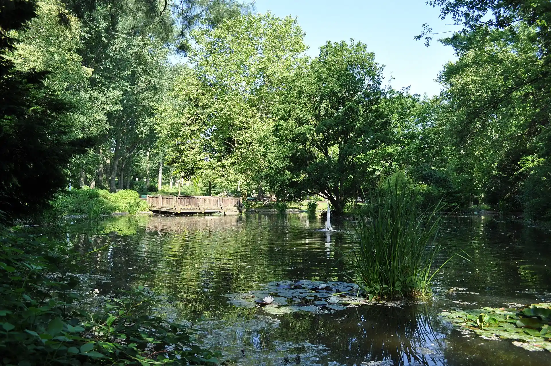 Weiher im Park Sulzbach (Taunus)