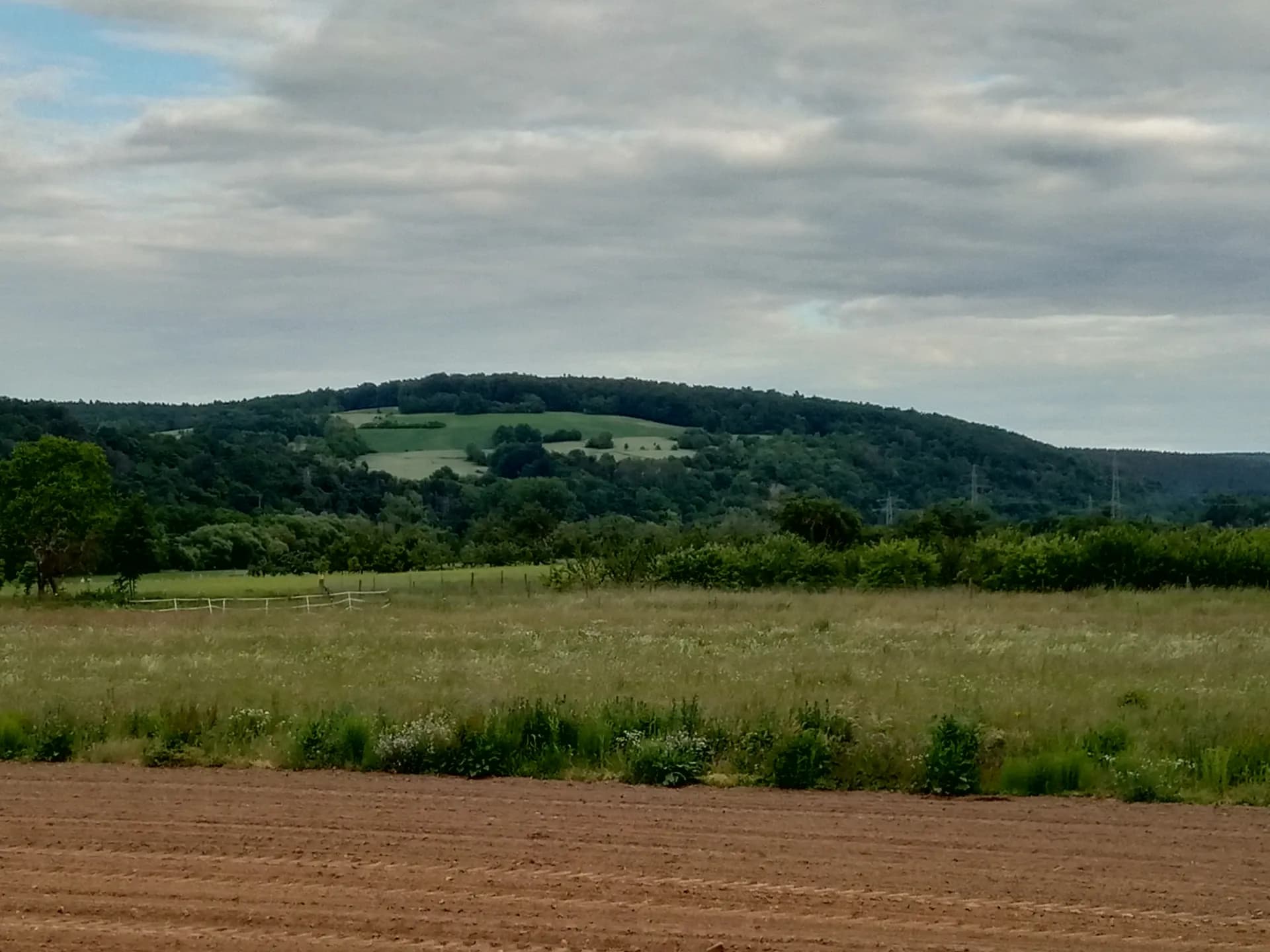Blick auf den Plattenberg bei Kleinwallstadt