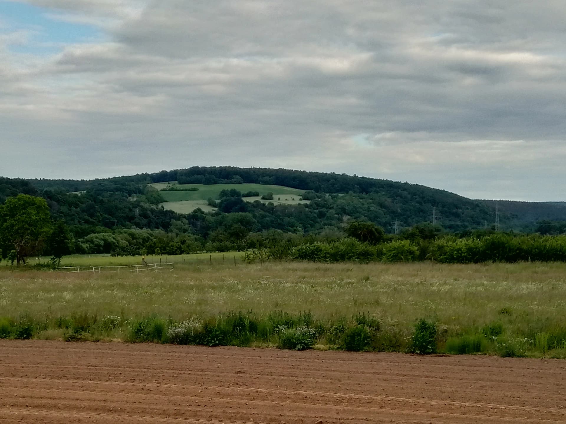 Blick auf den Plattenberg bei Kleinwallstadt